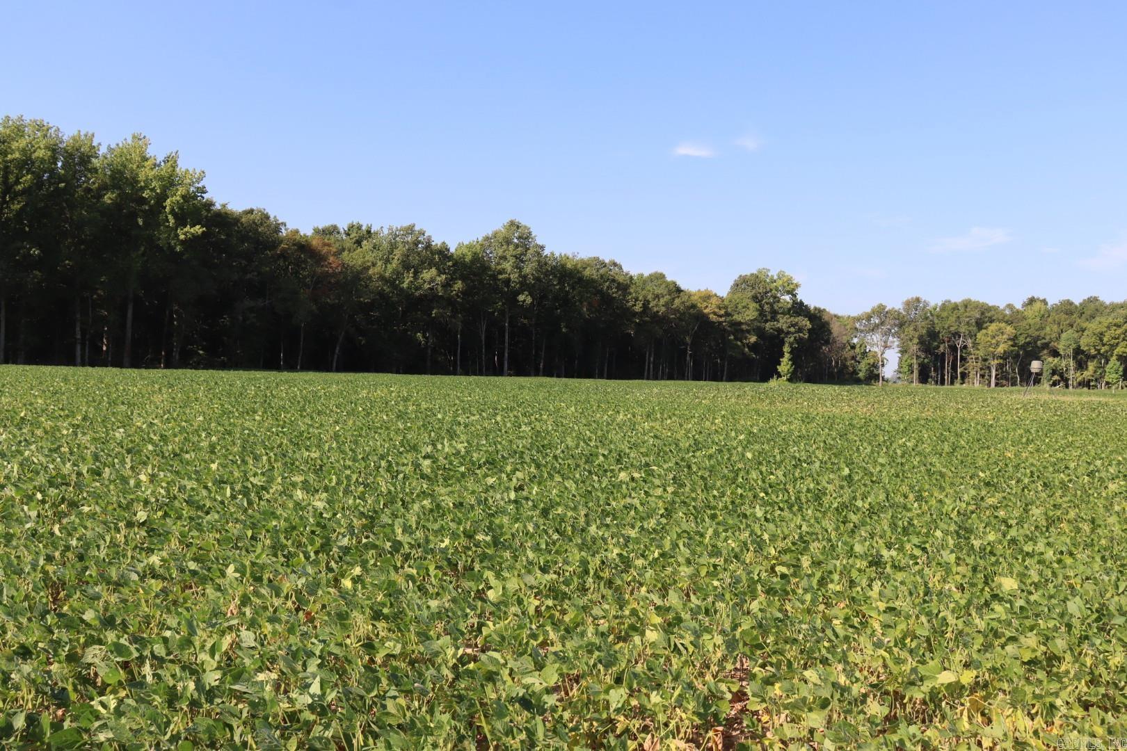 Not in Subdivision - Farm