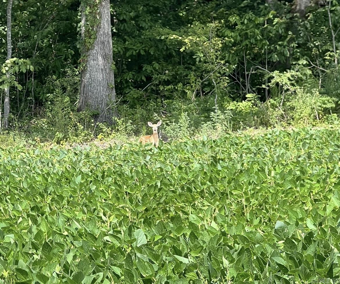 Not in Subdivision - Farm