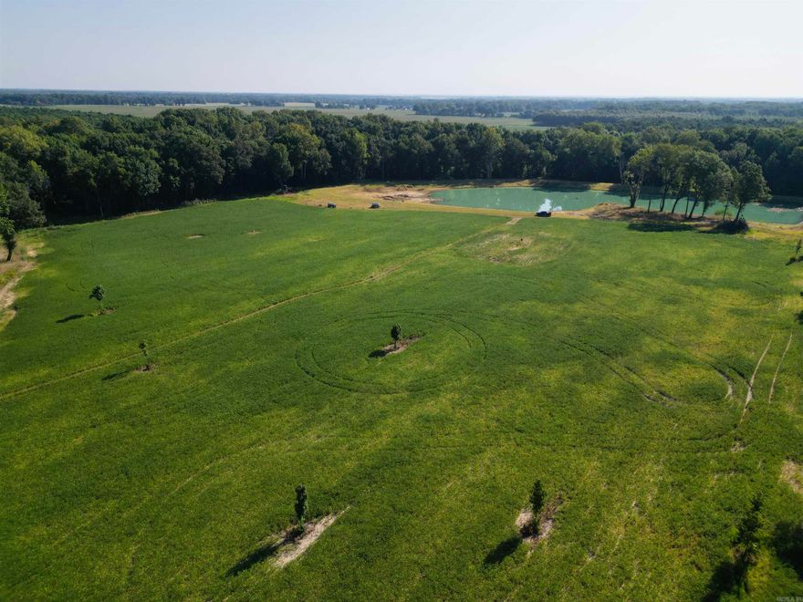 This 40 acres located in Phillips County just North of Marvell is a great opportunity for someone looking to build their dream home, a hunting lodge, or to acquire a prime piece of hunting property. This property includes a 40x60 house pad, along with a beautiful 5 acre pond, and approximately 24 tillable acres. Crooked Creek runs through the north east corner of the property making it a hot spot for deer/ duck hunting. Centrally located between the Mississippi River and the White River Refuge makes it an ideal spot for hunters. This property has a ton of potential opportunities. Easement is located on the west side of the property off of Hwy 243.