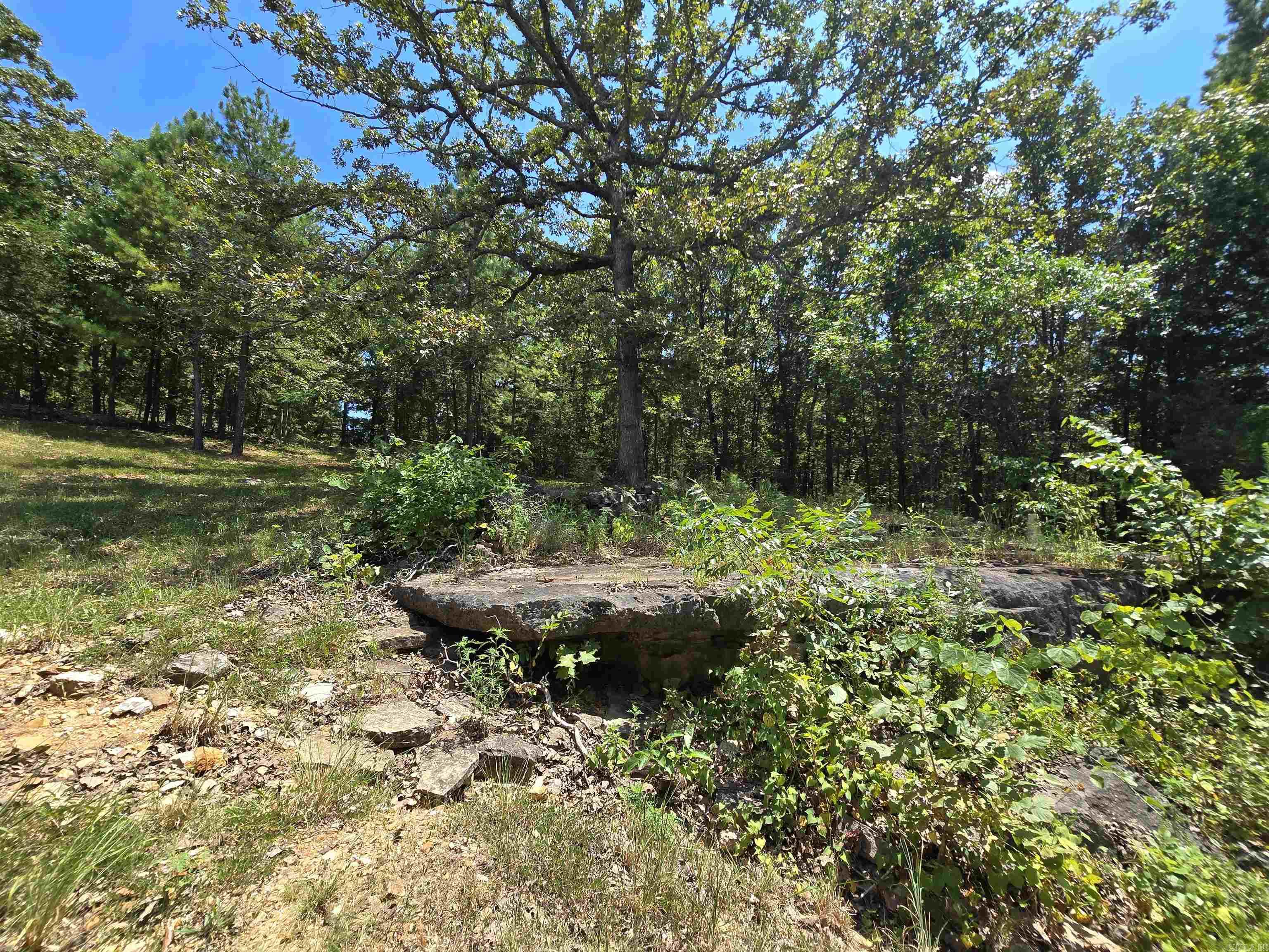 Not in Subdivision - Residential Income