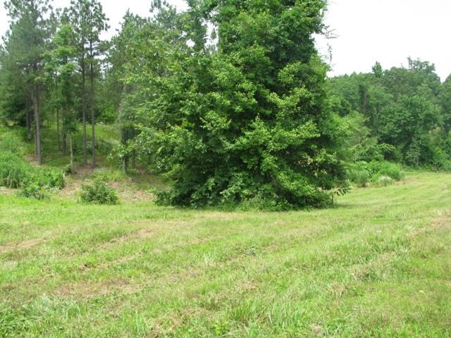 Nine Mile Acres - Land