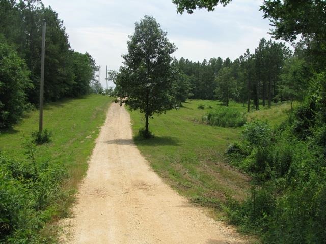 Nine Mile Acres - Land