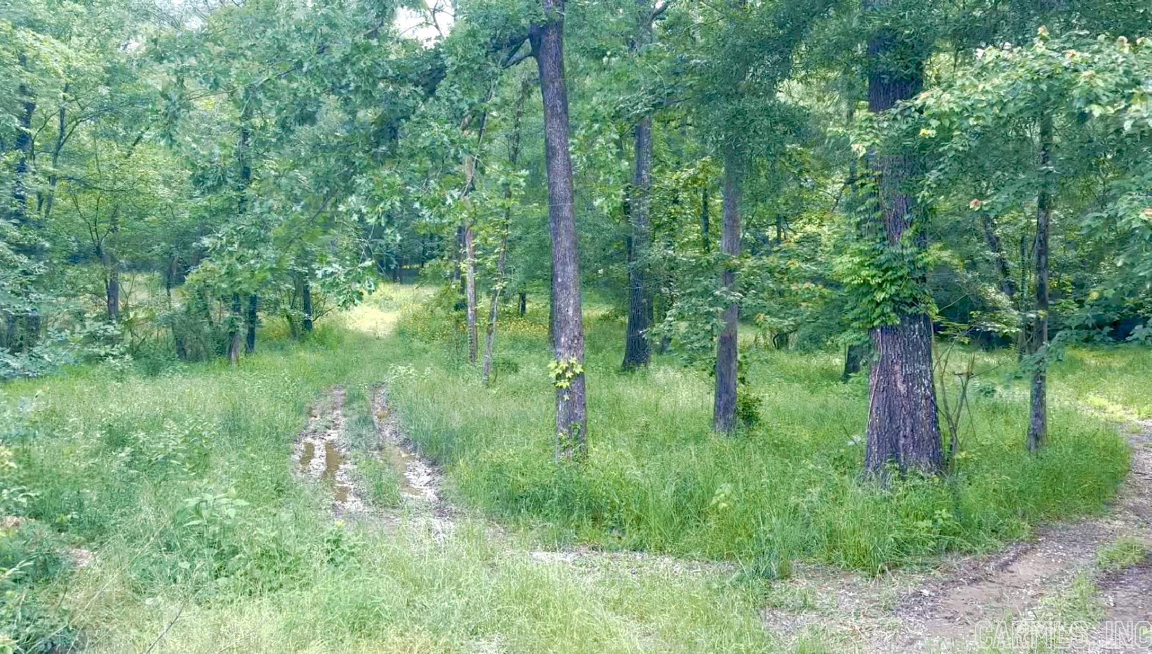 Check out this 2.5 Acres which was originally planned to be the last phase of Hunterscove Subdivision. To get this property annexed into the subdivision, it must be surveyed and then submitted to the planning commission for approval. It is not required to be annexed in. Located in the Lake Hamilton school district and only 900 feet from HC's private boat ramp. Lots of opportunity here to finish the development or to build one property on a huge lot!