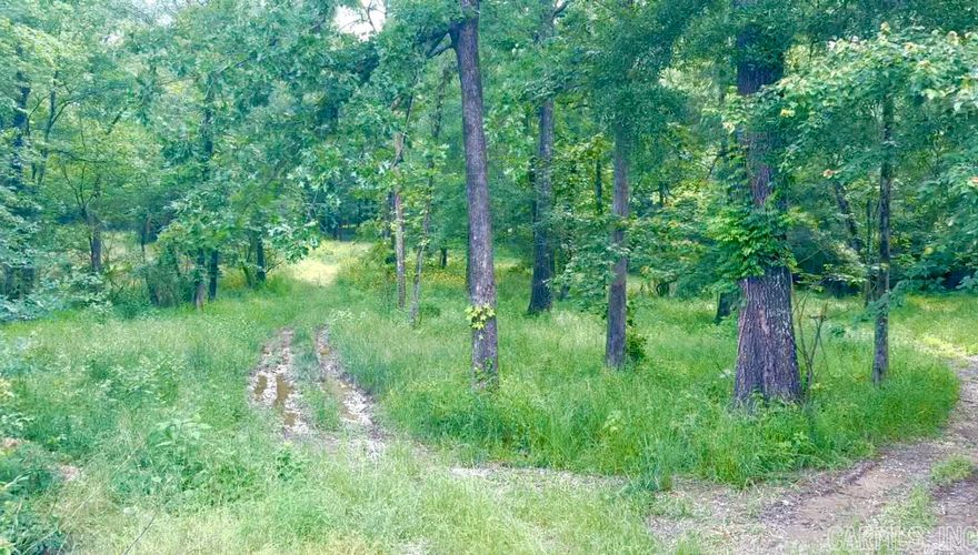 Check out this 2.5 Acres which was originally planned to be the last phase of Hunterscove Subdivision. To get this property annexed into the subdivision, it must be surveyed and then submitted to the planning commission for approval. It is not required to be annexed in.  Located in the Lake Hamilton school district and only 900 feet from HC's private boat ramp. Lots of opportunity here to finish the development or to build one property on a huge lot!