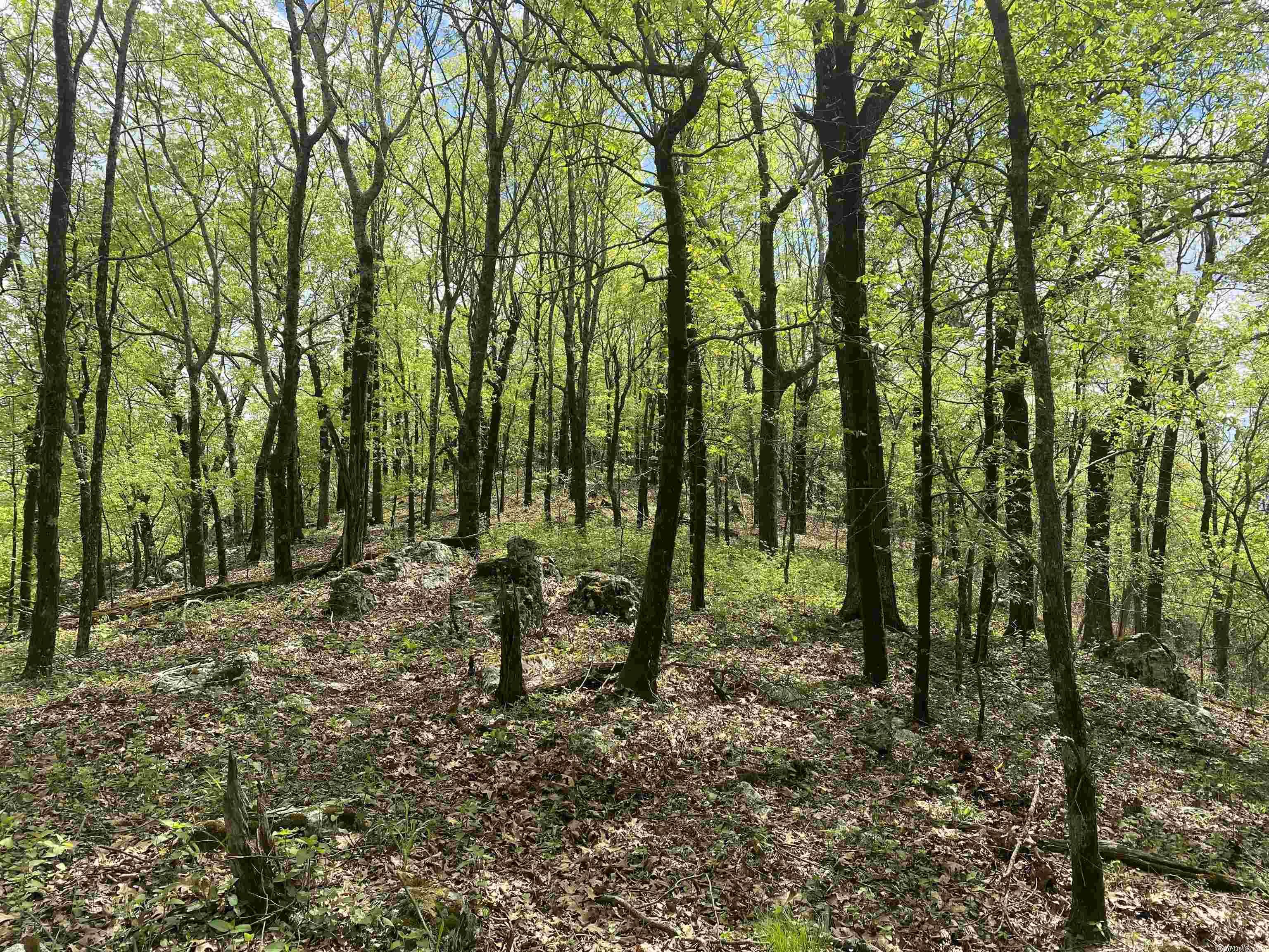 Not in Subdivision - Land