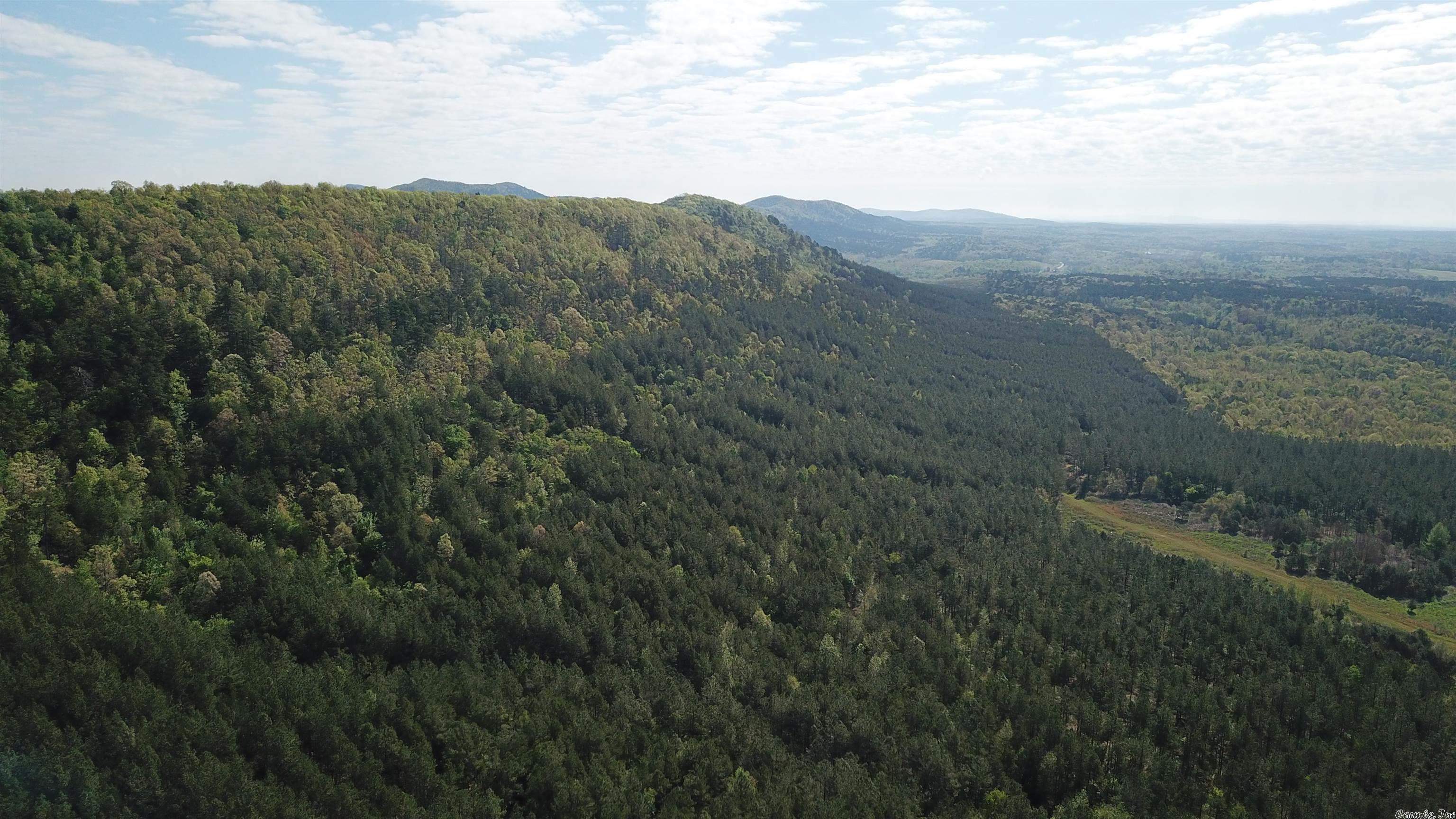 Located in Caddo Gap Arkansas just off of HWY 240 lies this 516 +/- acre tract. With 1.75 miles bordering the national forest this property provides access to over 100,000 acres of public land hunting and recreation. The property is about half and half between planted pine and natural hardwoods offering great habitat for the deer and turkey found there. There are established roads going through the property making it easy to access and travel through. There are two places to access the property, both on HWY 240. One is located on the south east corner and the other on the south west. The pine plantation is currently in the process of being thinned as of April 2023. There are many possibilities with this property whether one is looking for a hunting camp or a place to call home. The views allow for amazing homesites. The seller is willing to divide into smaller tracts. This property is only a short 50 minute drive from Hot Springs and only one hour and 40 minutes from Little Rock. Other amenities close by include the Caddo River, just a few miles down the road. As well as Lake DeGray which is about 45 minutes away. No Mineral Rights. Call Listing Agent Nick Newton 501-276-8409