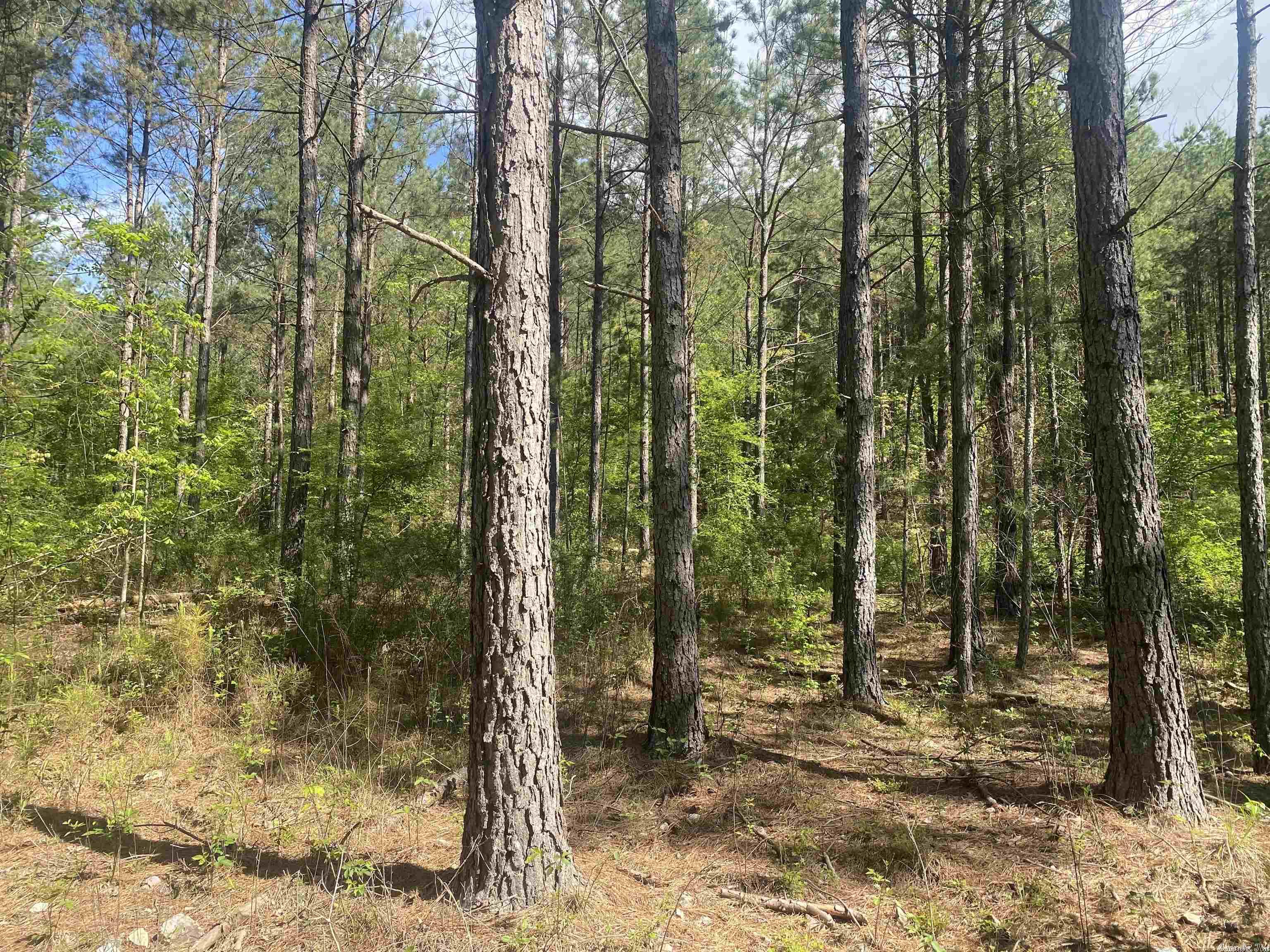 Not in Subdivision - Land