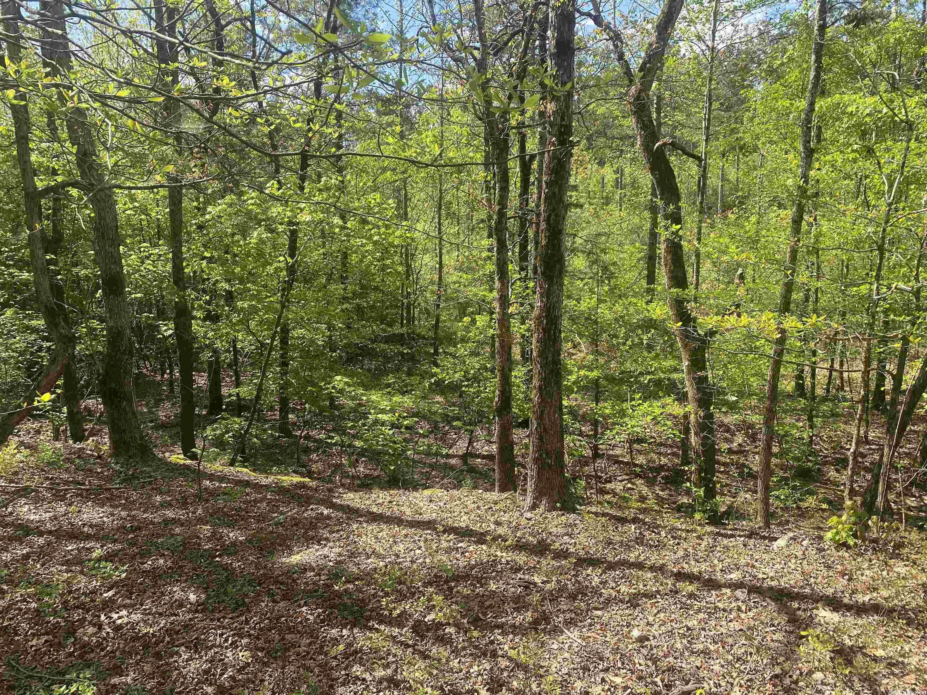 Not in Subdivision - Land