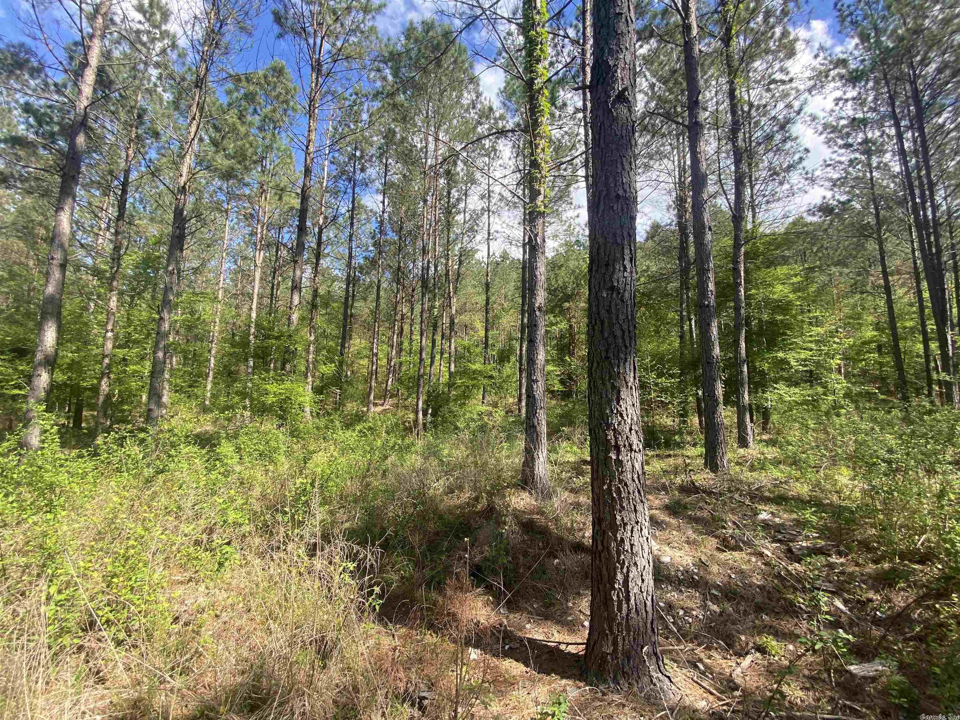 Not in Subdivision - Land