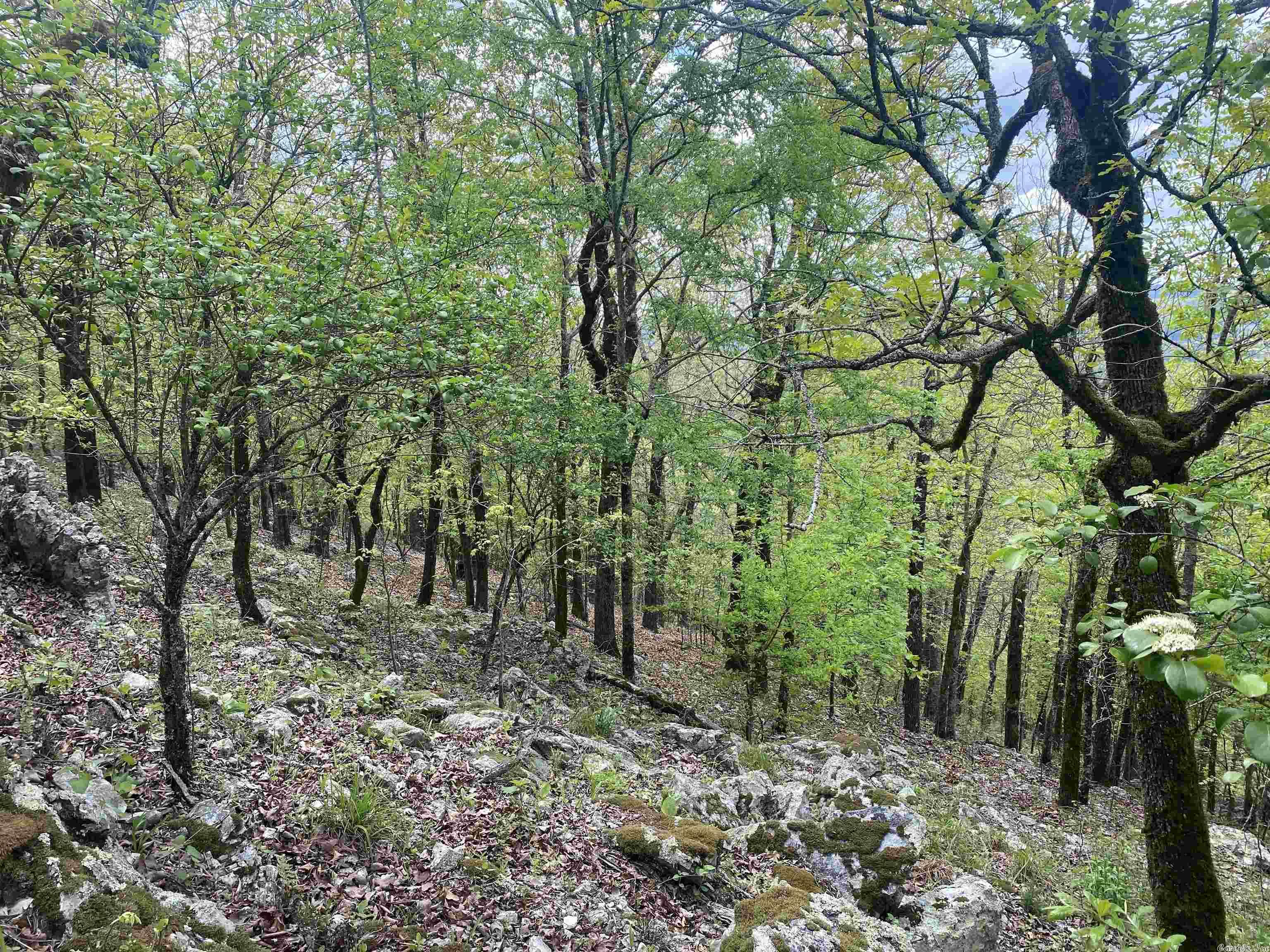 Not in Subdivision - Land