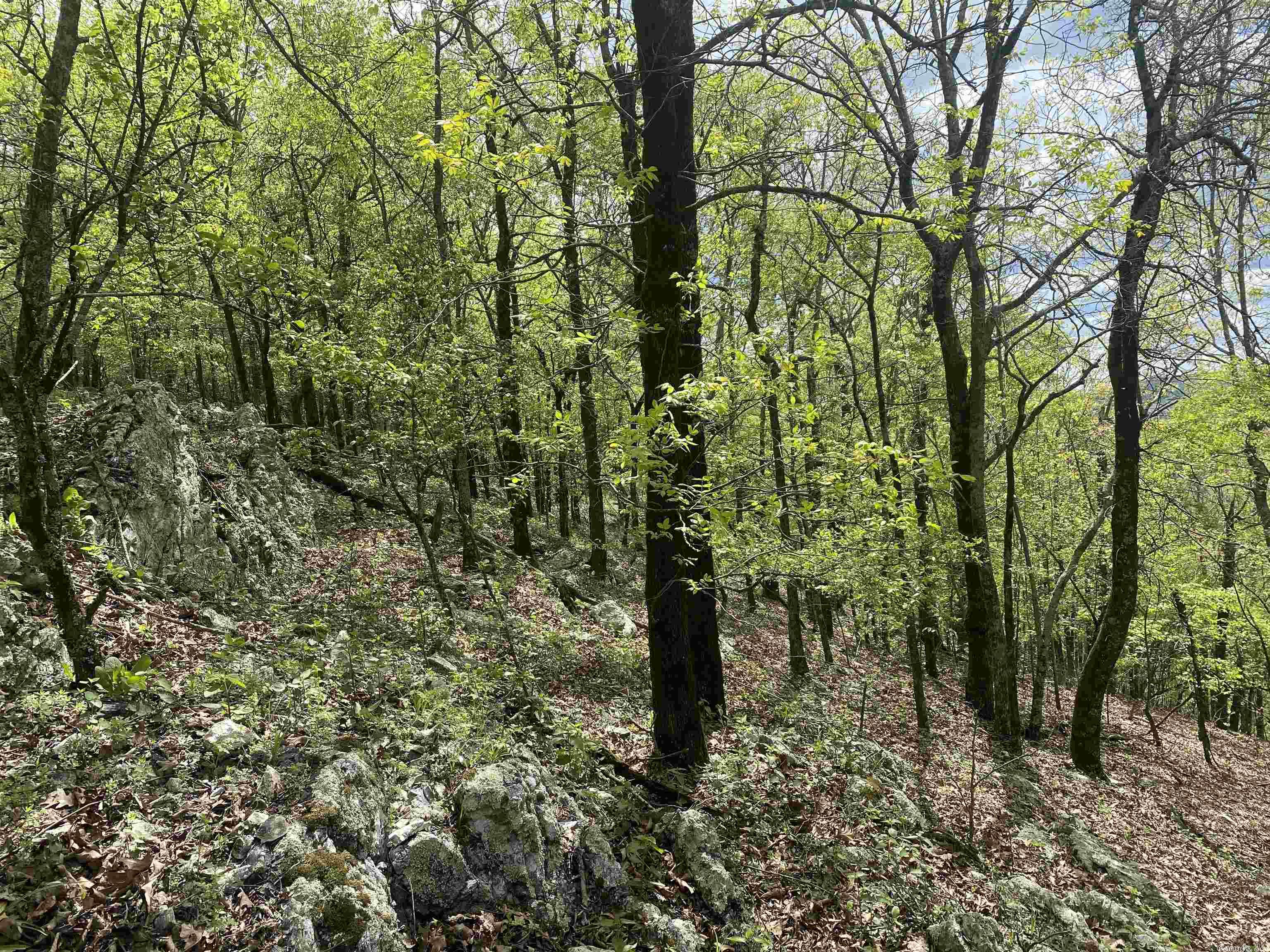 Not in Subdivision - Land