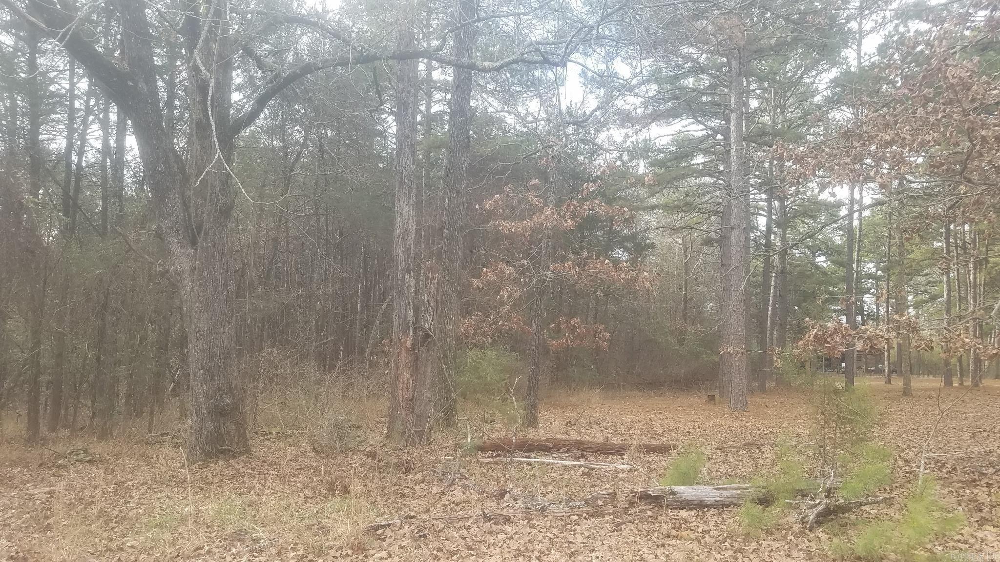 Toad Suck Country - Land