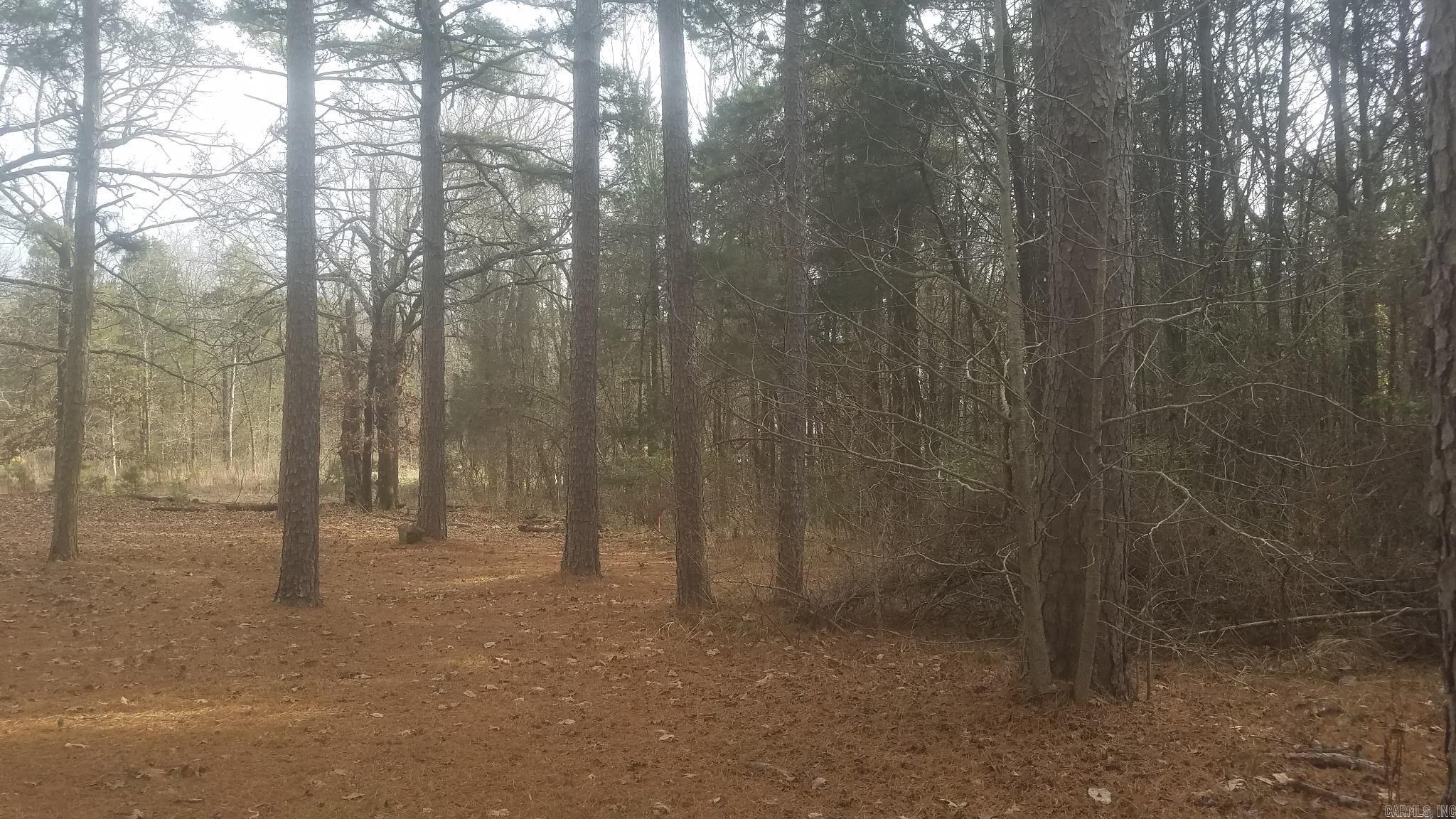 Toad Suck Country - Land