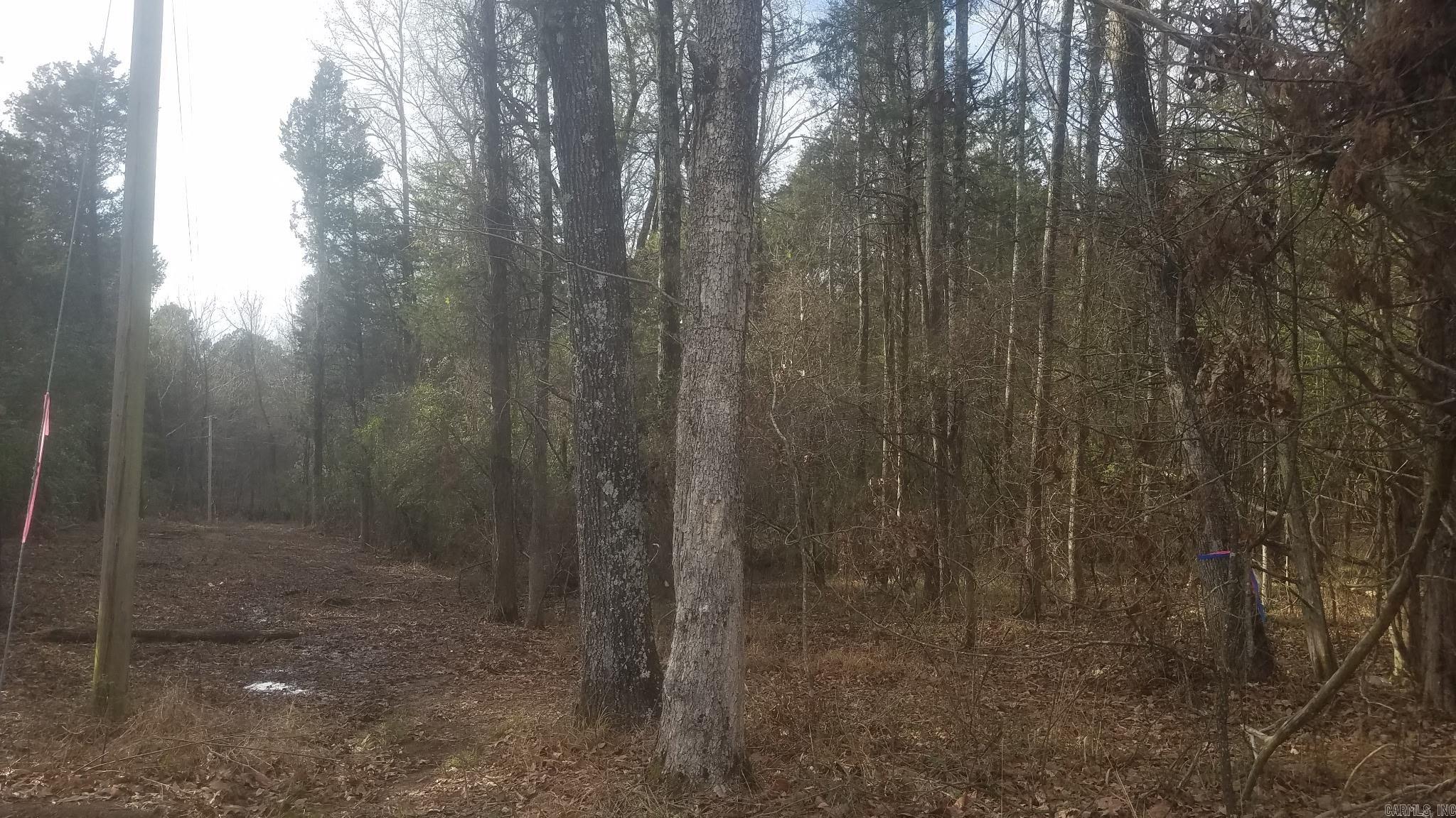 Toad Suck Country - Land