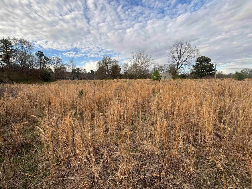 Uncover a breathtaking 4.23-acre parcel of land located at the end of Kanis Road, where Pulaski County meets Saline County in the township of Paron. Leave behind the hustle and bustle of Little Rock and dive into the peaceful countryside, an ideal setting for building your dream home or a family estate. This remarkable property features a generous 20x40 shop building, offering plenty of space for your projects and hobbies. Enjoy the natural beauty and diverse wildlife that thrive in this area. Seize this opportunity to own your own piece of paradise! Schedule you Visit today! See you at the County Line!!!