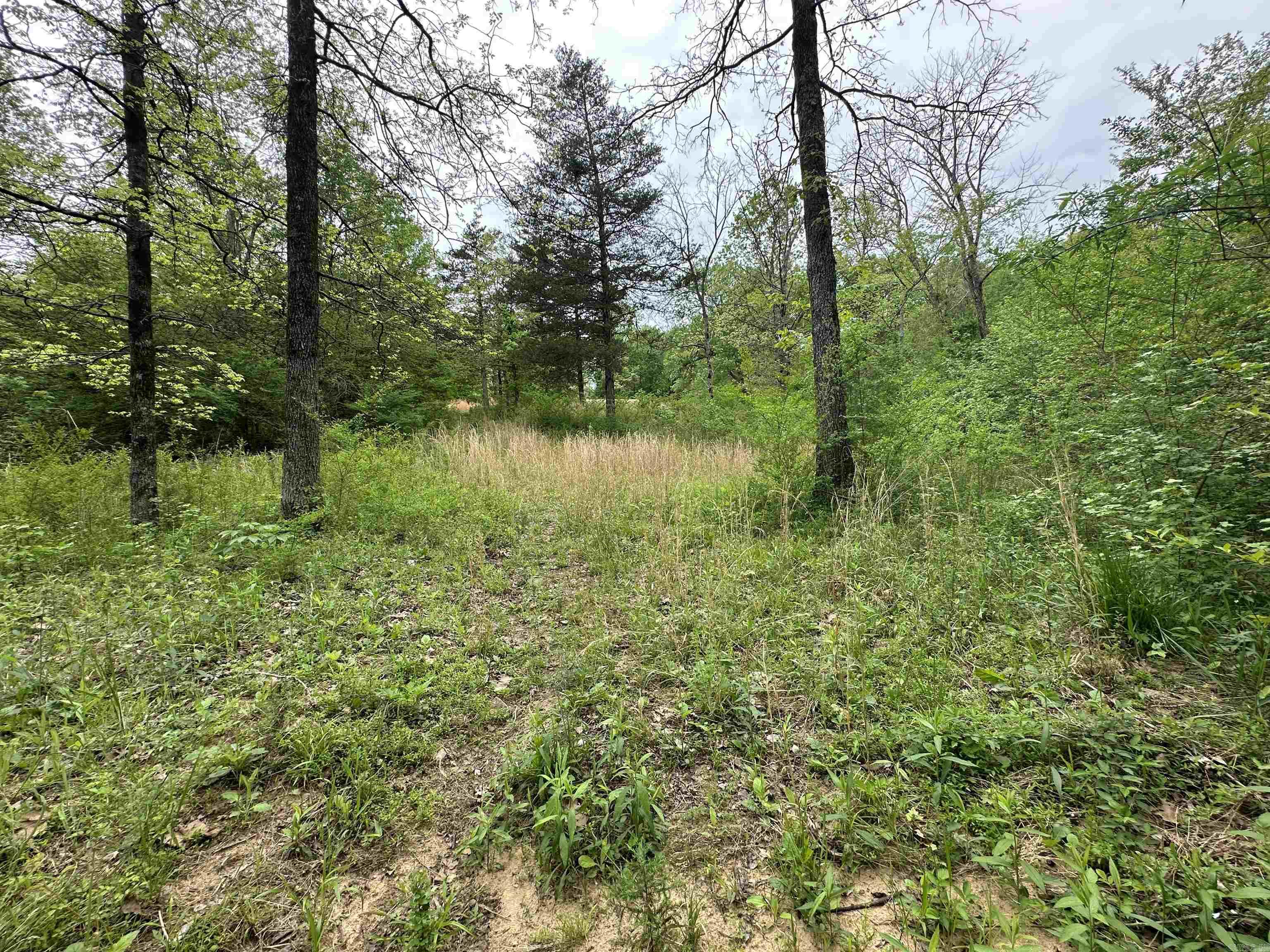 Not in Subdivision - Land
