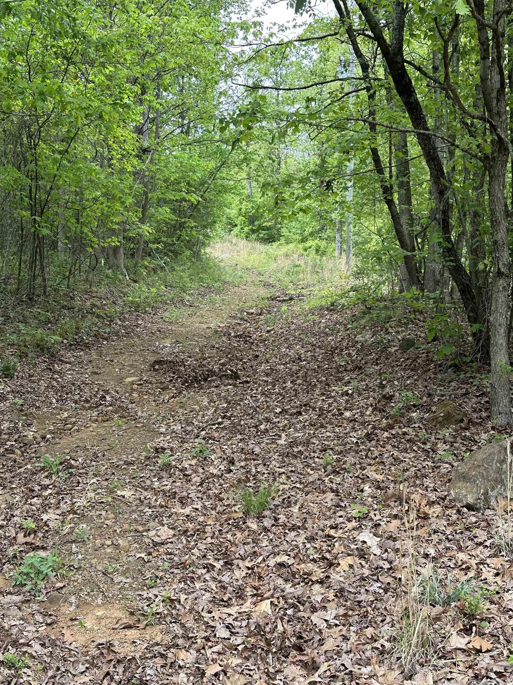 Not in Subdivision - Land