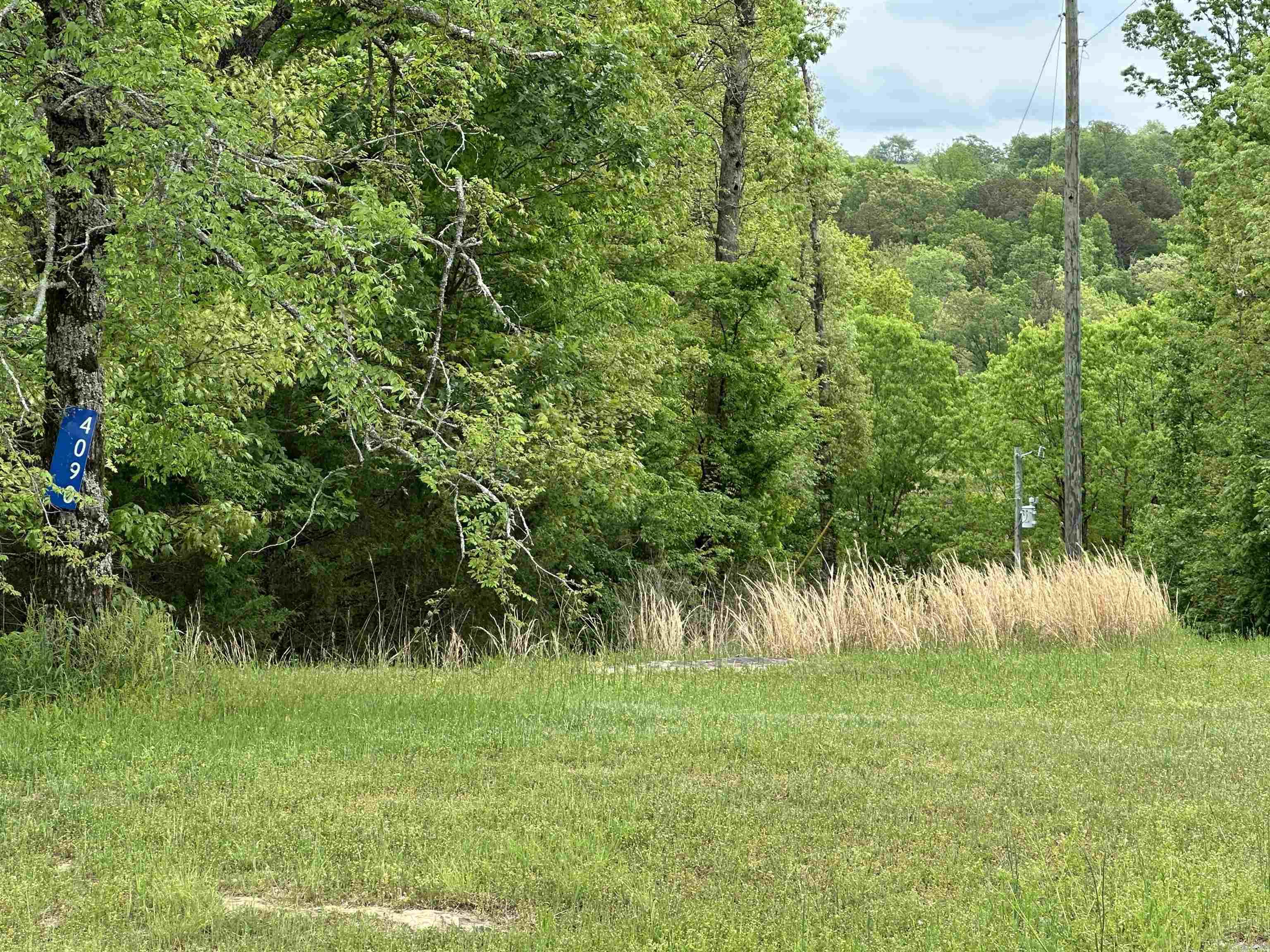 Excellent Getaway or Permenant home site only 5.1 miles to GREERS FERRY LAKE access at Hill Creek Park and Marina and 7 miles to Greers Ferry Shopping & Dining. There is a 2012 Gulf Stream RV (Model 323TBR) under a metal carport and wood decking. The RV has not been occupied since 2021 and is being sold in "AS IS" condition. Open grassy area that gentle rolls down to the creek. The rest of the property is wooded. Part of the 10 acres is on both sides of the creek. This property has a very private feel.