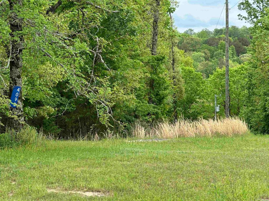 Excellent Getaway or Permenant home site only 5.1 miles to GREERS FERRY LAKE access at Hill Creek Park and Marina and 7 miles to Greers Ferry Shopping & Dining. There is a 2012 Gulf Stream RV (Model 323TBR) under a metal carport and wood decking. The RV has not been occupied since 2021 and is being sold in "AS IS" condition. Open grassy area that gentle rolls down to the creek. The rest of the property is wooded. Part of the 10 acres is on both sides of the creek. This property has a very private feel.