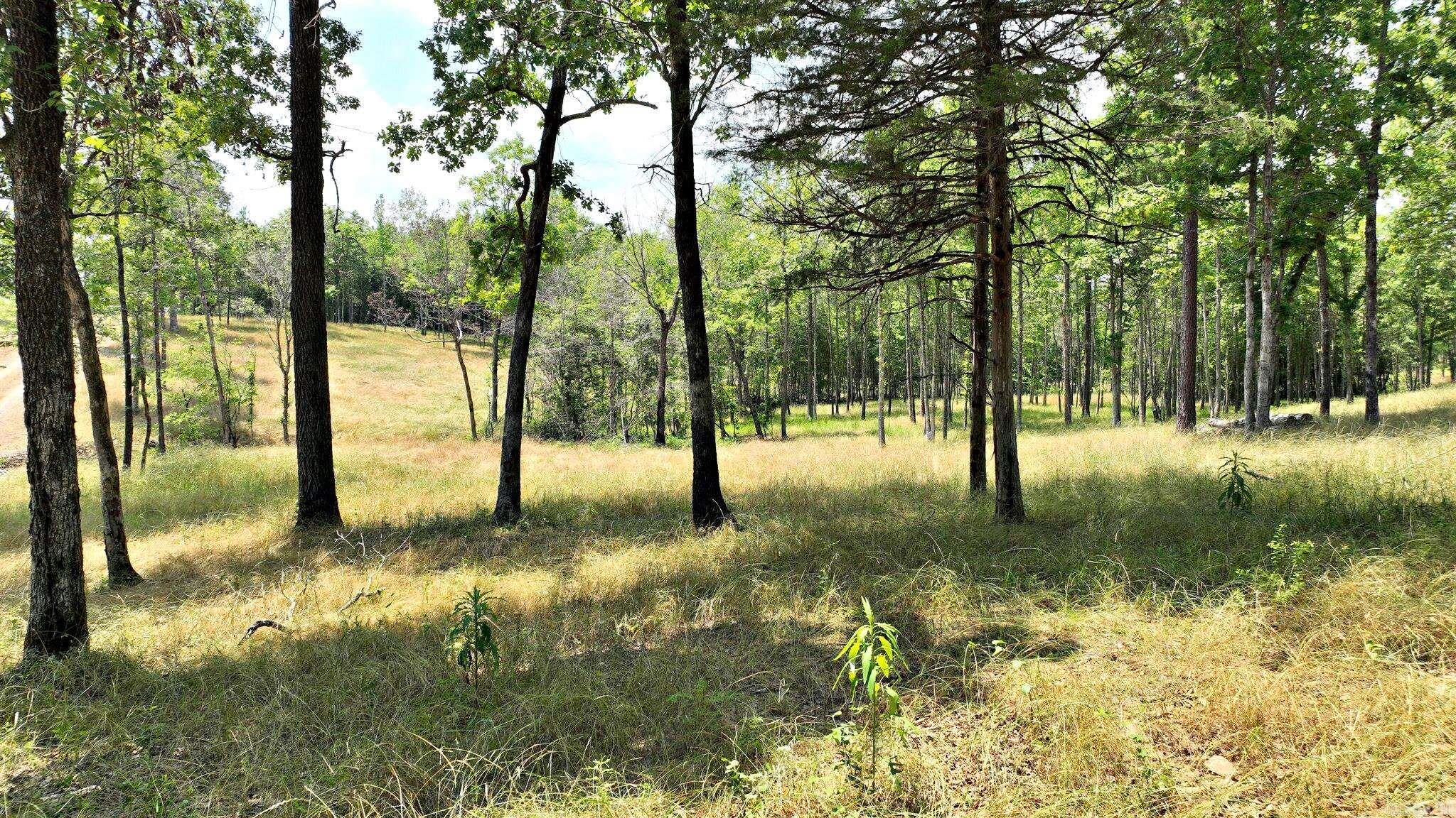 Whether you’re looking to build a home, a vacation retreat, or an investment property, this 10-acre lot offers endless possibilities. The natural landscape and make it a rare find and a true gem in the real estate market. Nestled among scattered hardwoods, this property offers a serene and picturesque landscape, ideal for those seeking tranquility and natural beauty. Small creek on property. Great building spot on a hill, overlooking the creek allows you to design and construct your ideal home or retreat. Discover the perfect blend of nature and opportunity with this stunning parcel located in a beautiful parklike setting. Power is readily available, making it easier to start your building project.