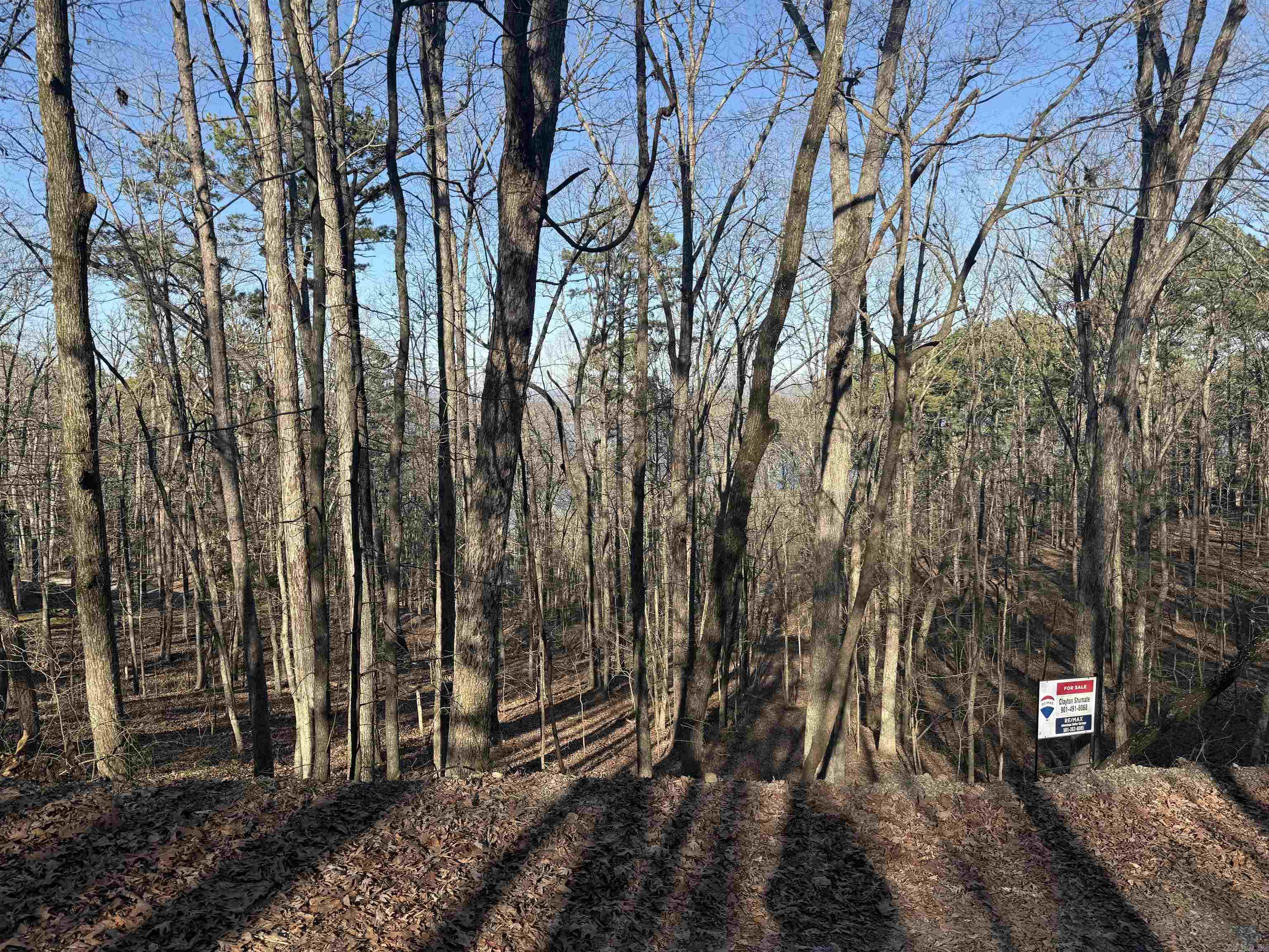 South Shore Park subdivision lot with a partial lake view. Great opportunity to build in a neighborhood with access to the lake. This lot would be great for a home with a walk out basement floor plan. The boat launch has a yearly fee.