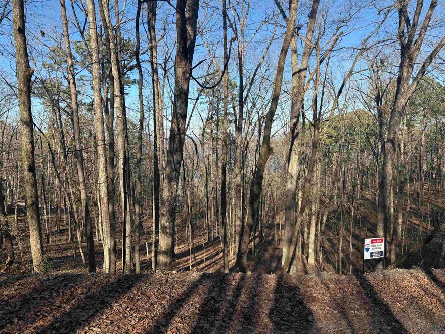 South Shore Park subdivision lot with a partial lake view. Great opportunity to build in a neighborhood with access to the lake. This lot would be great for a home with a walk out basement floor plan. The boat launch has a yearly fee.