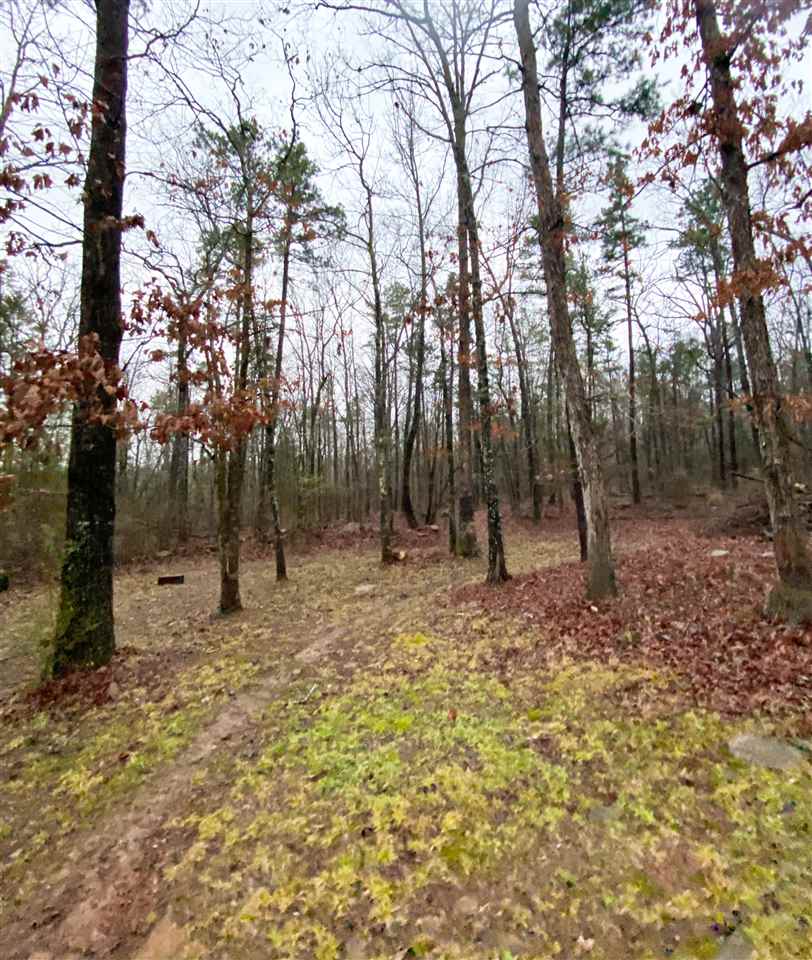 Honey Hill - Residential