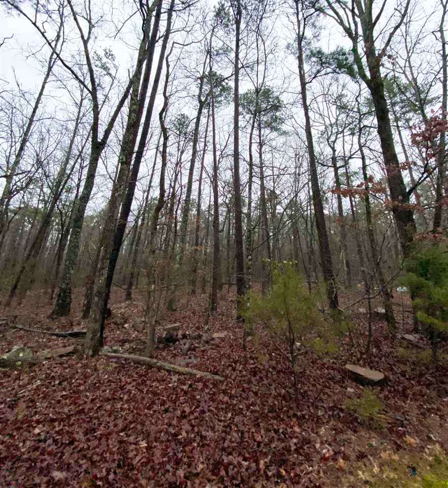 Honey Hill - Residential