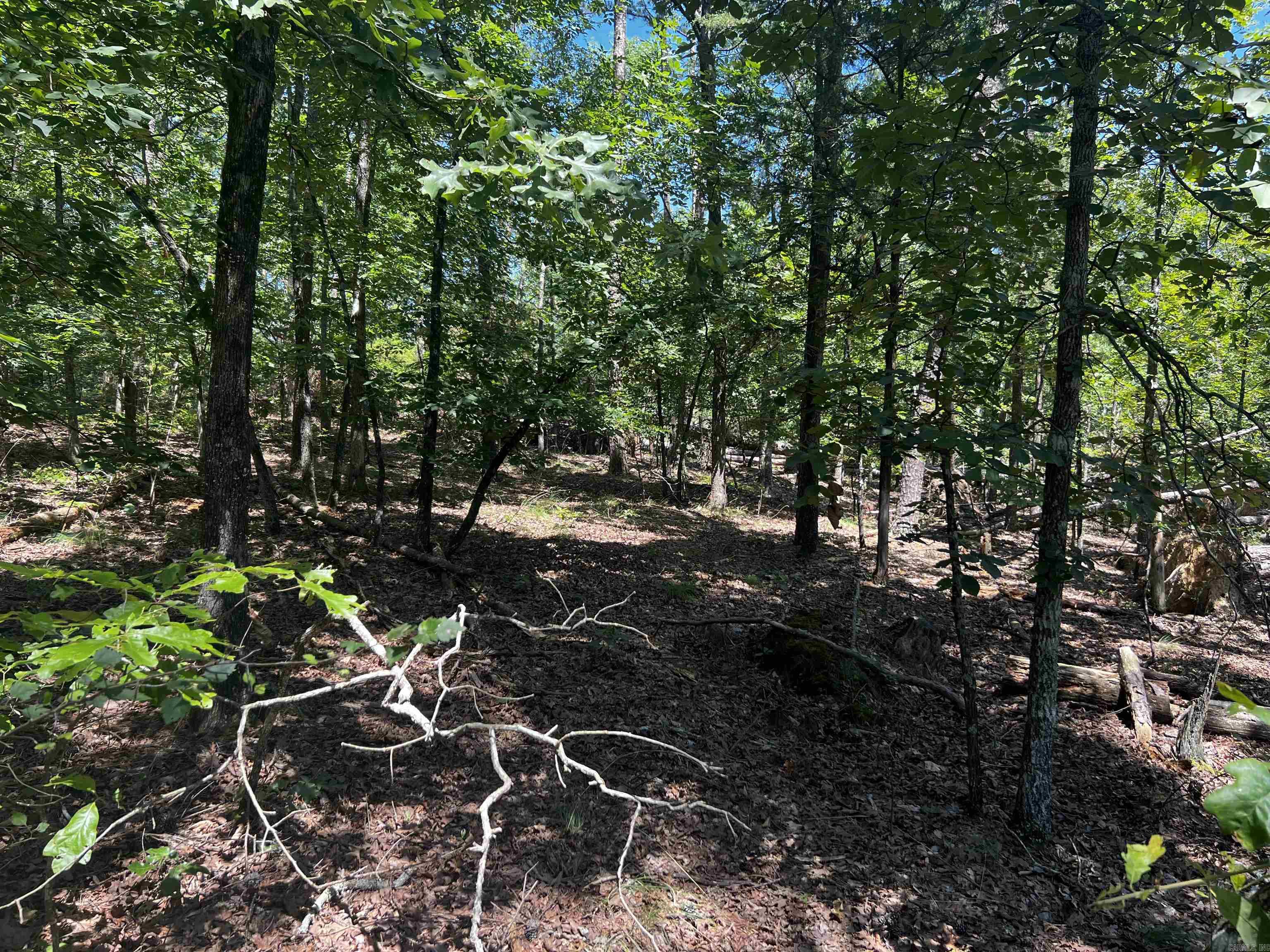 Own your own flat / buildable lot in the coveted Hot Springs Village! Gated residential community with amenities unmatched anywhere including lakes for skiing and fishing including swimming beaches and marinas. HSV has tennis, pickle ball, indoor and outdoor pools, nature trails, a fitness center, and much more! This lot has great access to Balearic and the West Gate. The lot is in a secluded, quiet cul-de-sac.