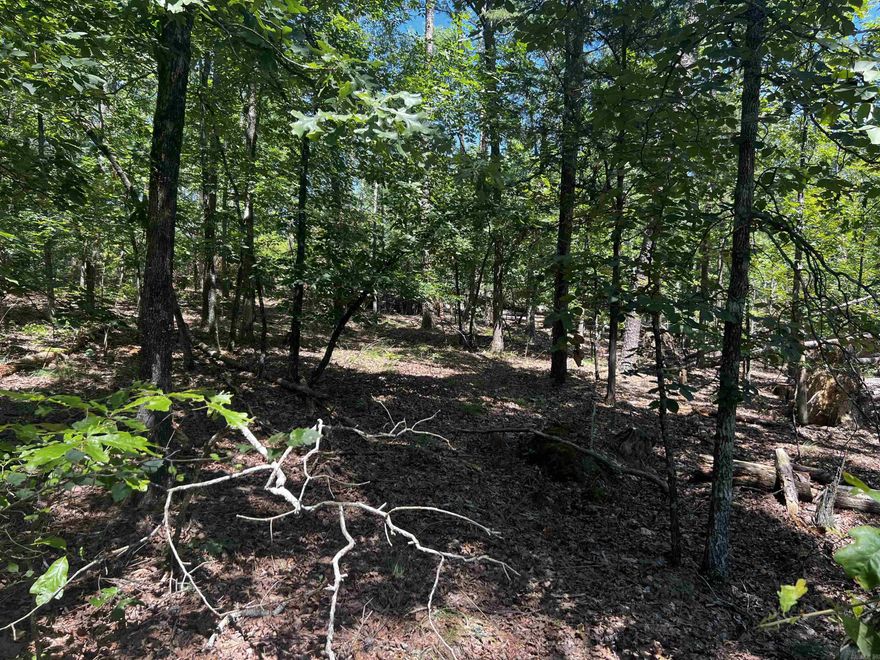 Own your own flat / buildable lot in the coveted Hot Springs Village!  Gated residential community with amenities unmatched anywhere including lakes for skiing and fishing including swimming beaches and marinas.  HSV has tennis, pickle ball, indoor and outdoor pools, nature trails, a fitness center, and much more! This lot has great access to Balearic and the West Gate. The lot is in a secluded, quiet cul-de-sac.