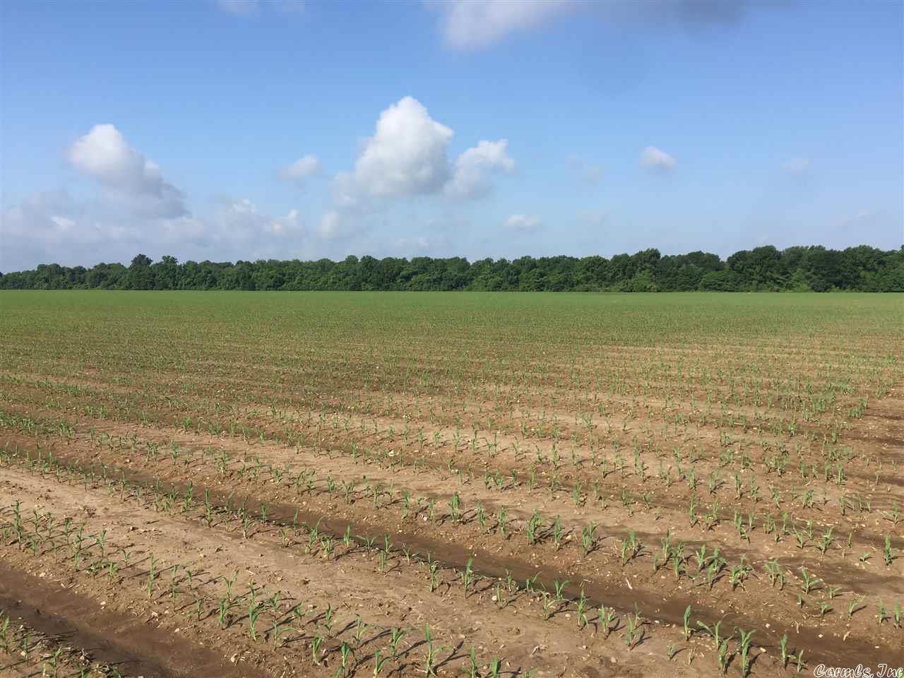 Not in Subdivision - Farm