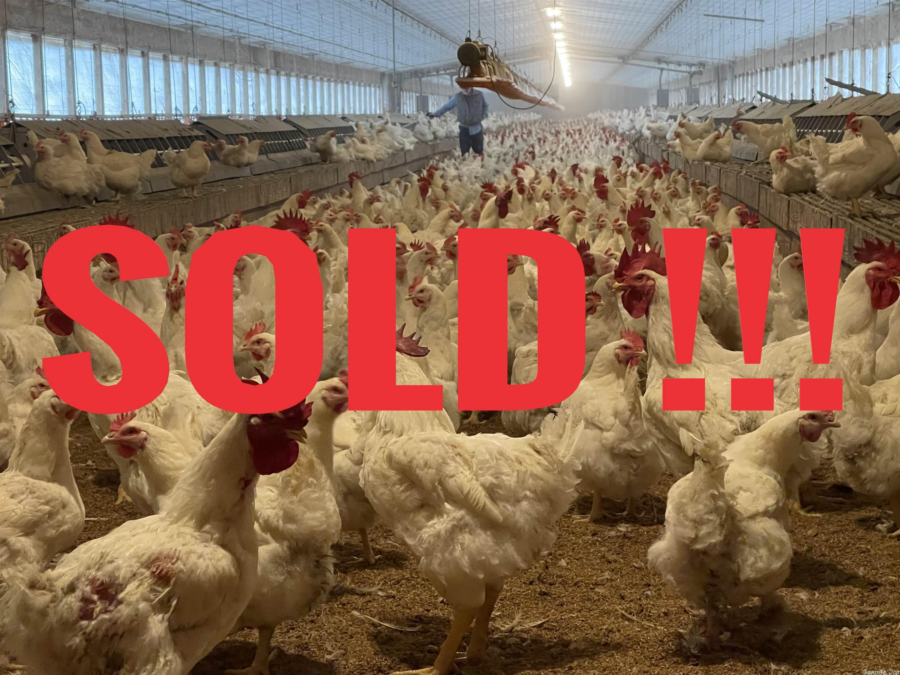 This farm is a great investment in your future. It has two 40 x 530 chicken houses Built in 2009, with plenty of room to build more. There is also a beautiful 1,664 SF Mobile Home. with 29 x 20 SF shop. A 924 SF mobile home for a workers quarters. There is 64.33 acres of property with 55 acres of it under fence with 3 ponds
