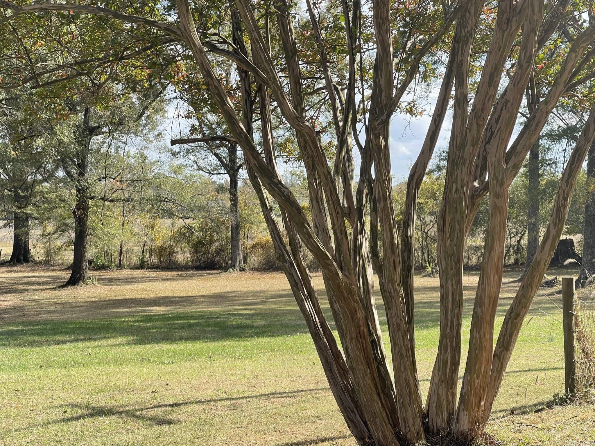 Metes & Bounds - Commercial Sale