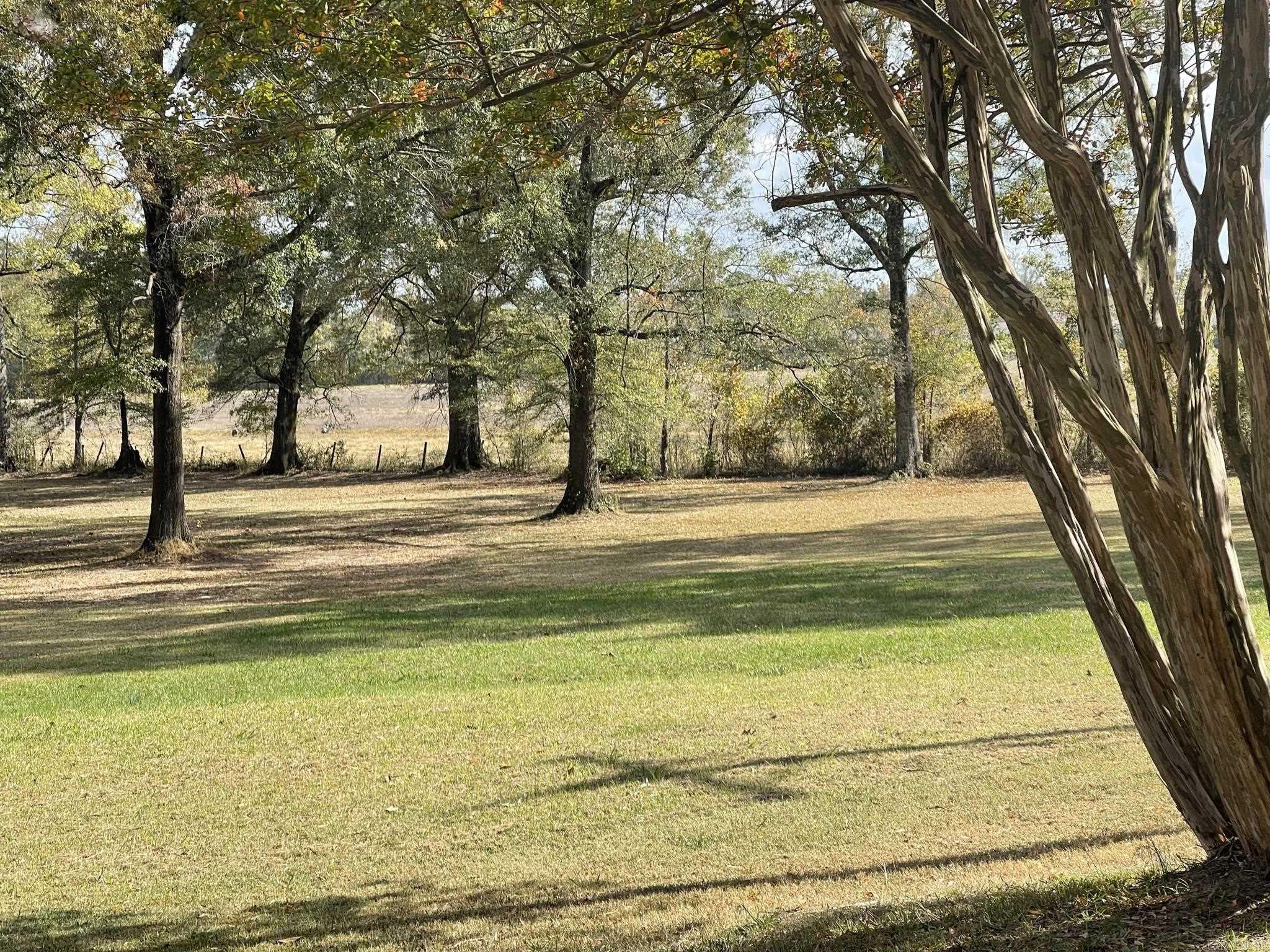 Metes & Bounds - Commercial Sale