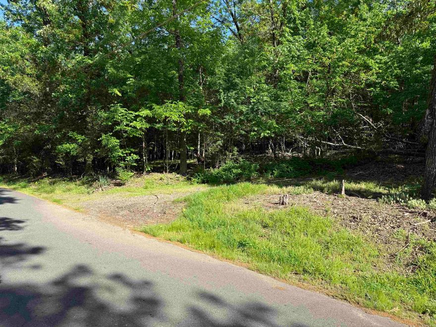 Build your dream home across from the Lake! Just over 1/2 an acre of land, perfectly positioned across from the lake and surrounded by some beautiful homes. This peaceful setting offers the ideal backdrop for a custom-built retreat or a weekend getaway.