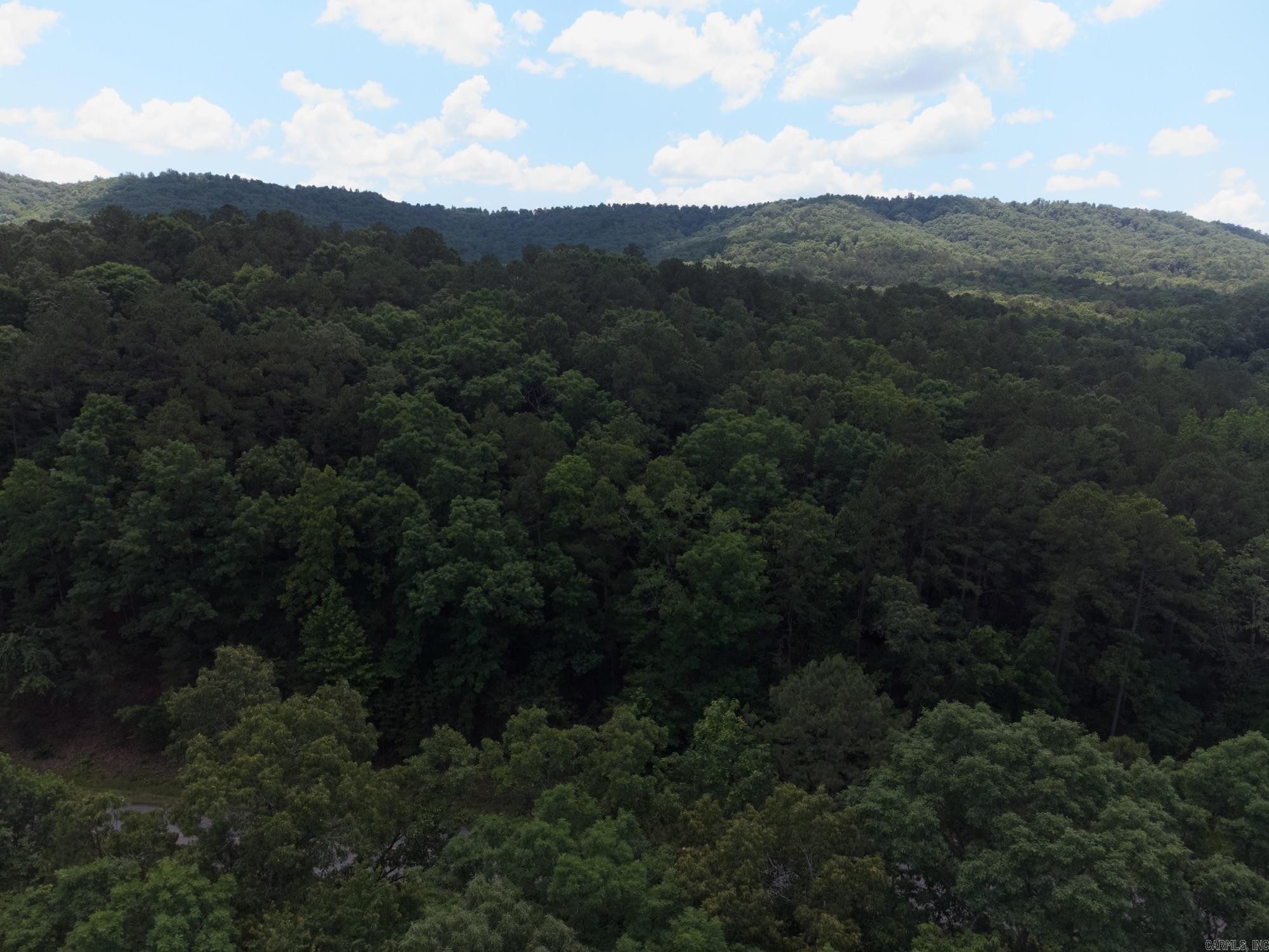 Green Tree - Land