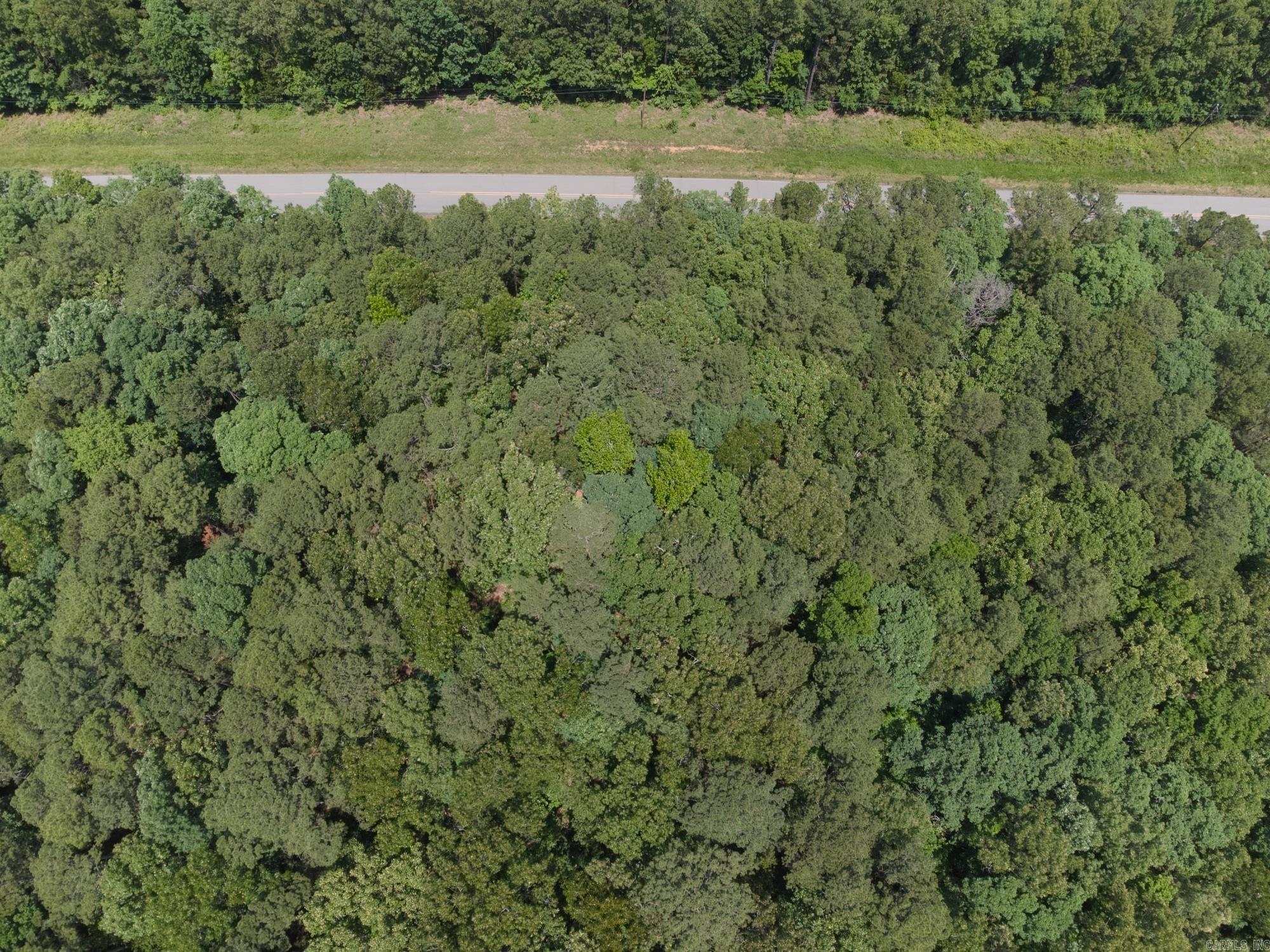 Green Tree - Land