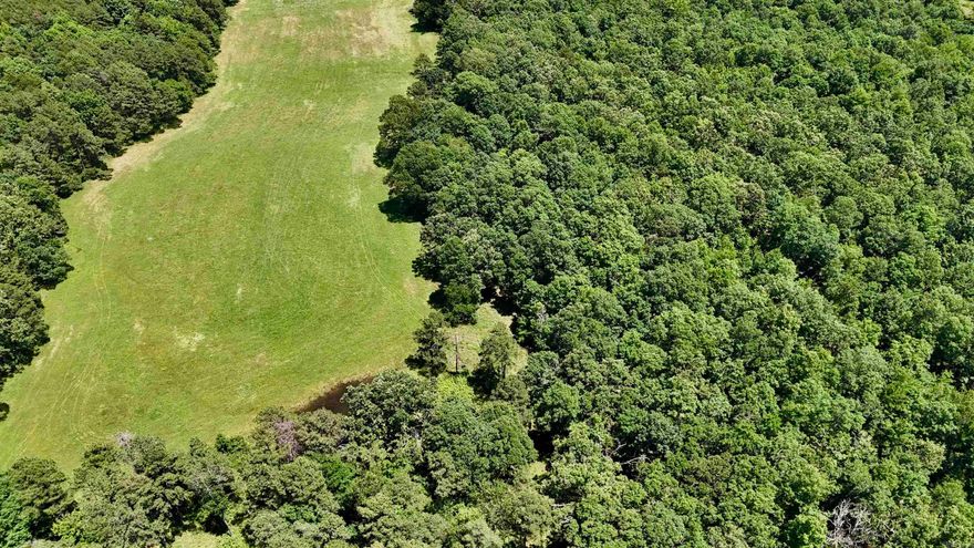 Discover the perfect blend of convenience and accessibility with this beautiful tract of land located just 1.6 miles north of Grumpy’s Burger Barn and 18 miles south of the Glory Hole Falls Trailhead. Offering a mix of open pasture and mature woods, this property features excellent building sites, making it ideal for your dream home, a hunting retreat, or agricultural use. Seller is willing to split in smaller tracts. Highlights include: Hwy 21 frontage on the east end for easy access, Private gate entry for added security, A pond, perfect for livestock or quiet reflection, Utility easement in place to support future development, Borders Ozark Ntl Forest to the west, offering unmatched privacy and direct access to public land, Great hunting opportunities in the wooded sections, Open pastures suitable for hay production or homesites with stunning views. Whether you're looking for a recreational getaway, a homestead, or investment land, this property offers versatility and natural beauty in the heart of the Ozarks.