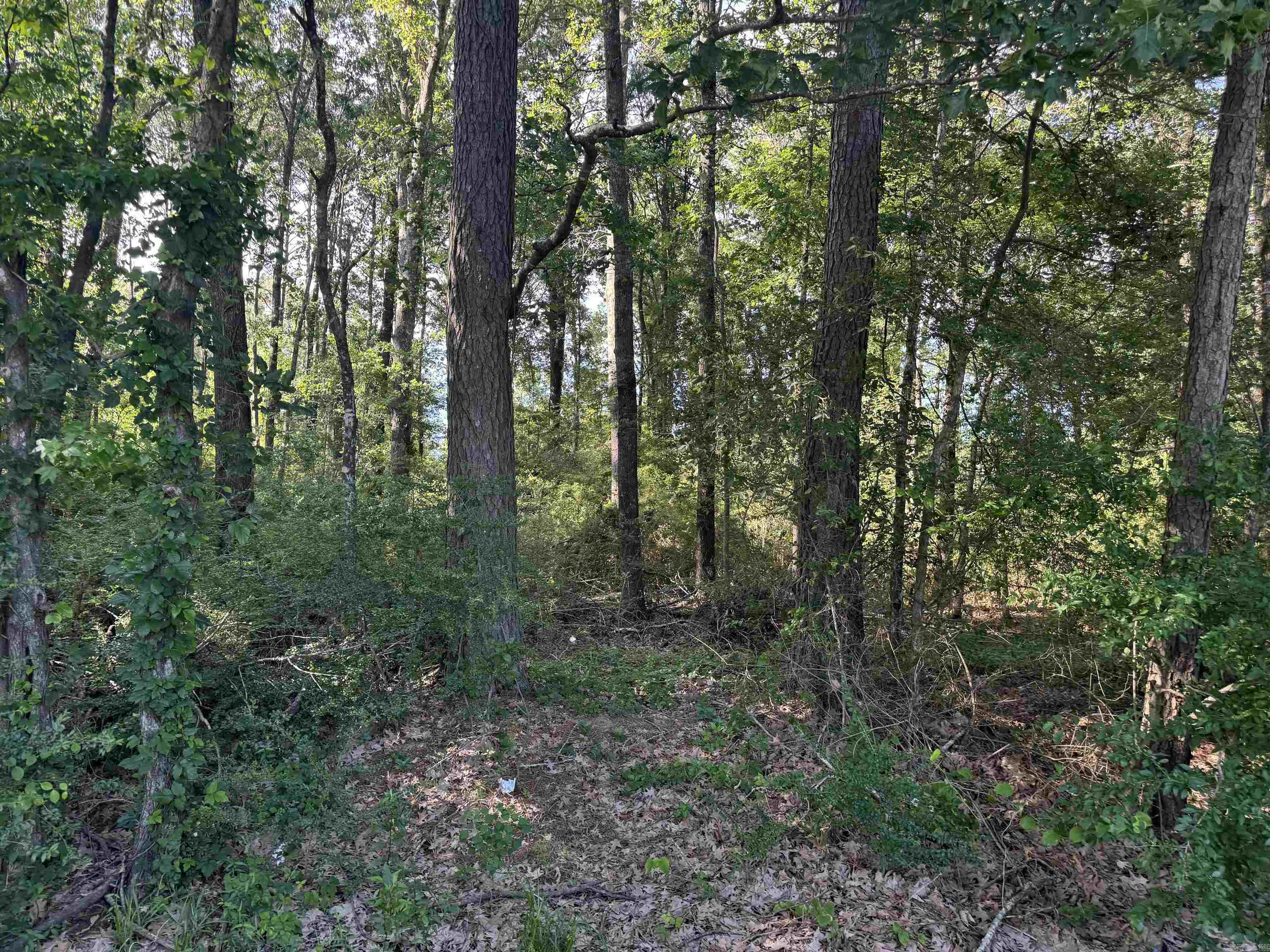 HAMBURG UNPLATTED - Land