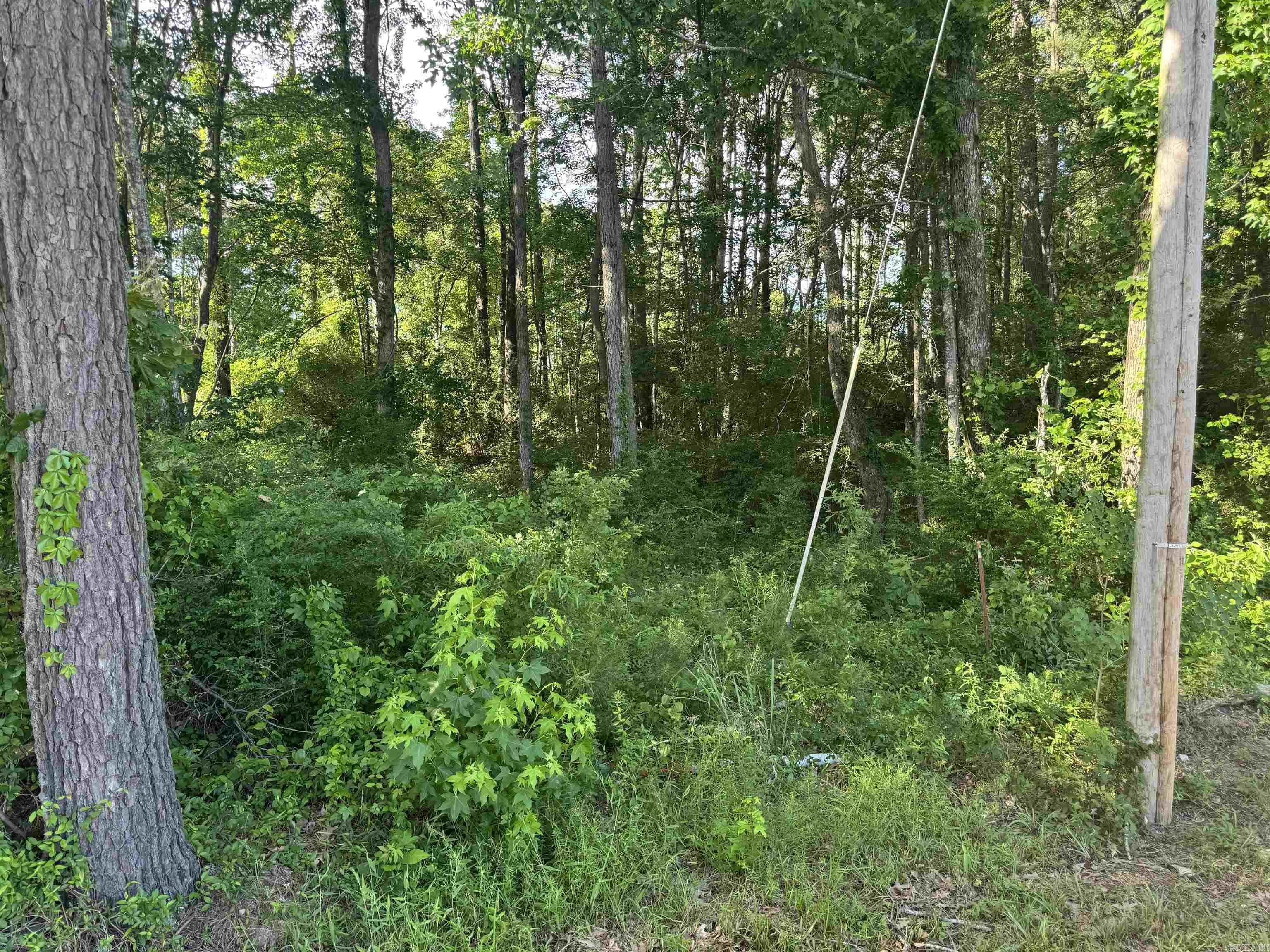 HAMBURG UNPLATTED - Land