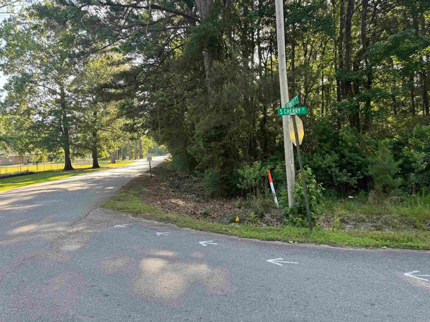 Prime 3.0-Acre Residential Lot in Hamburg, Arkansas Ideal Location Near Schools & Amenities Discover the perfect spot to build your dream home on this spacious 3.0-acre lot, ideally located just across the street from Hamburg High School. Towering pine and mature oak trees provide natural beauty and shade, offering a serene and picturesque setting. This corner property has excellent access, with frontage on both Cherry Street and East Serrett Street. Enjoy the convenience of city water and sewer services already available, making development straightforward and cost-effective. Located just 1 mile from Hamburg's town square and only 13 miles to the Crossett Walmart Supercenter, this lot combines small-town charm with easy access to shopping, dining, and other essential services. Whether you're looking to build your forever home or invest in a property with excellent location potential, this is an opportunity you don't want to miss. Highlights: 3.0 Acres with Mature Pine & Oak Trees City Water & Sewer Available Across from Hamburg High School Borders Cherry St & E. Serrett St 1 Mile to Hamburg Square 13 Miles to Walmart Supercenter in Crossett Ready to make it yours? Contact us Today