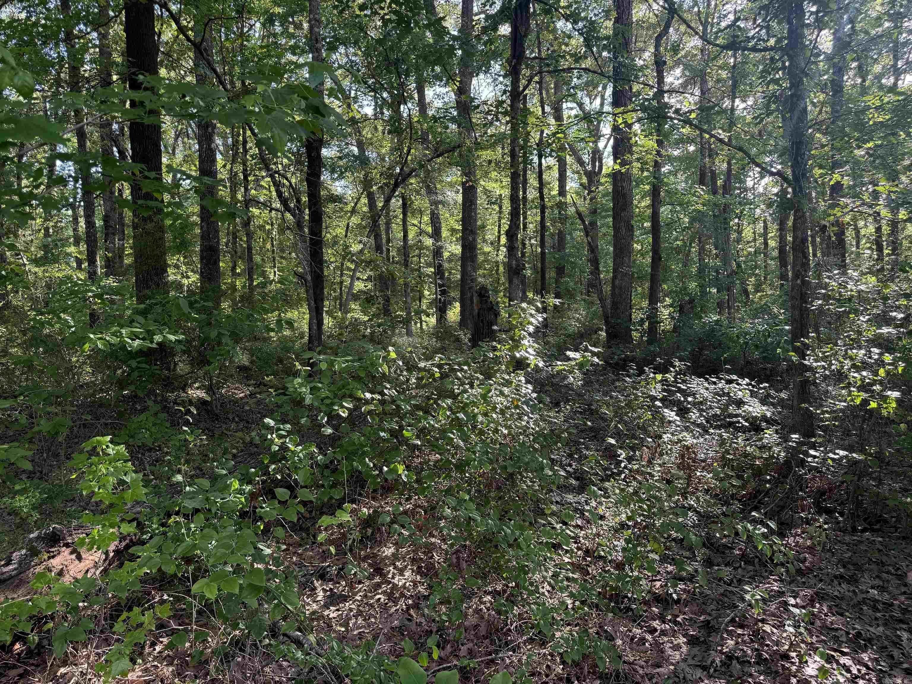 HAMBURG UNPLATTED - Land