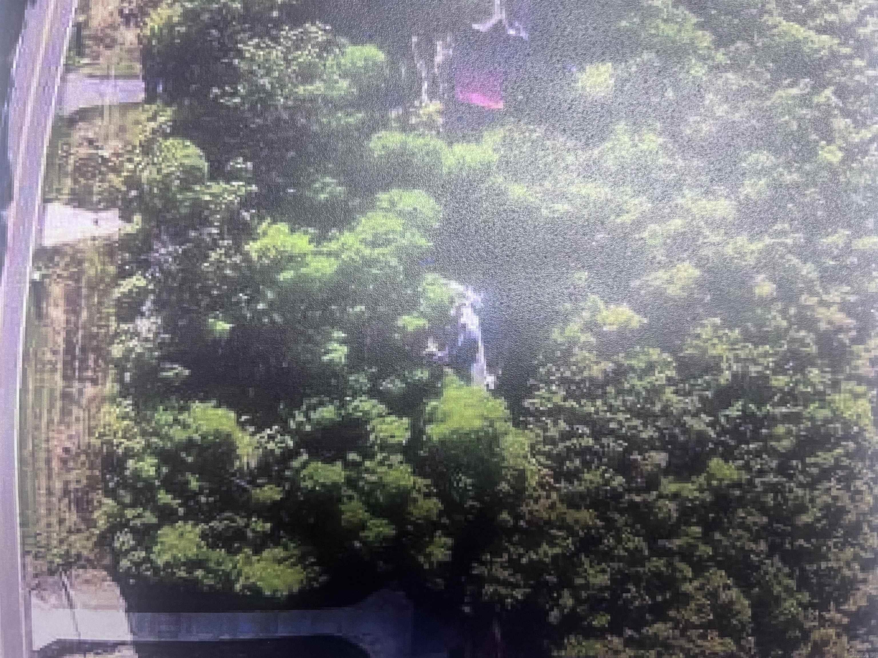 Spring Valley - Residential Lease