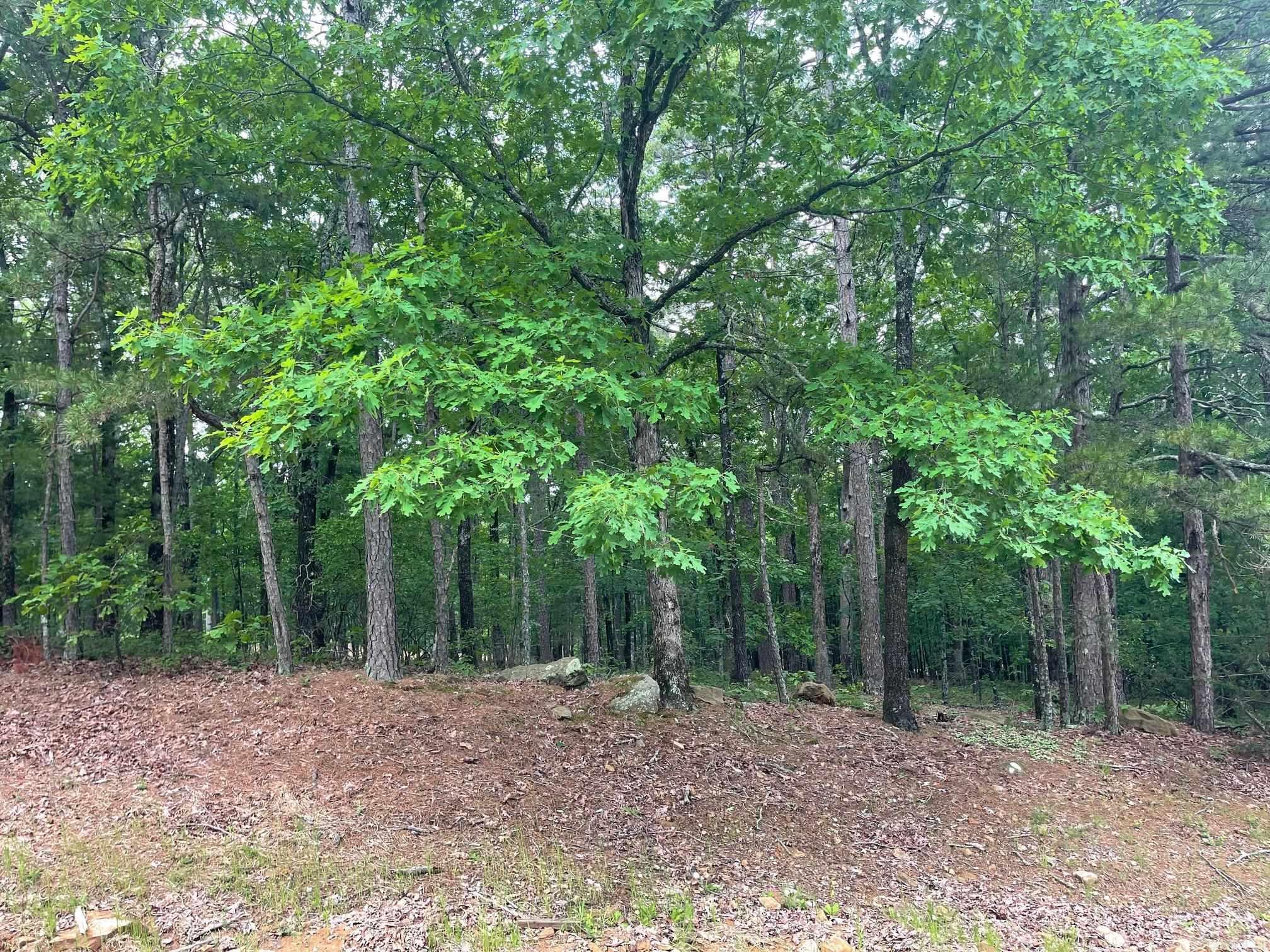 Indian Hills - Land