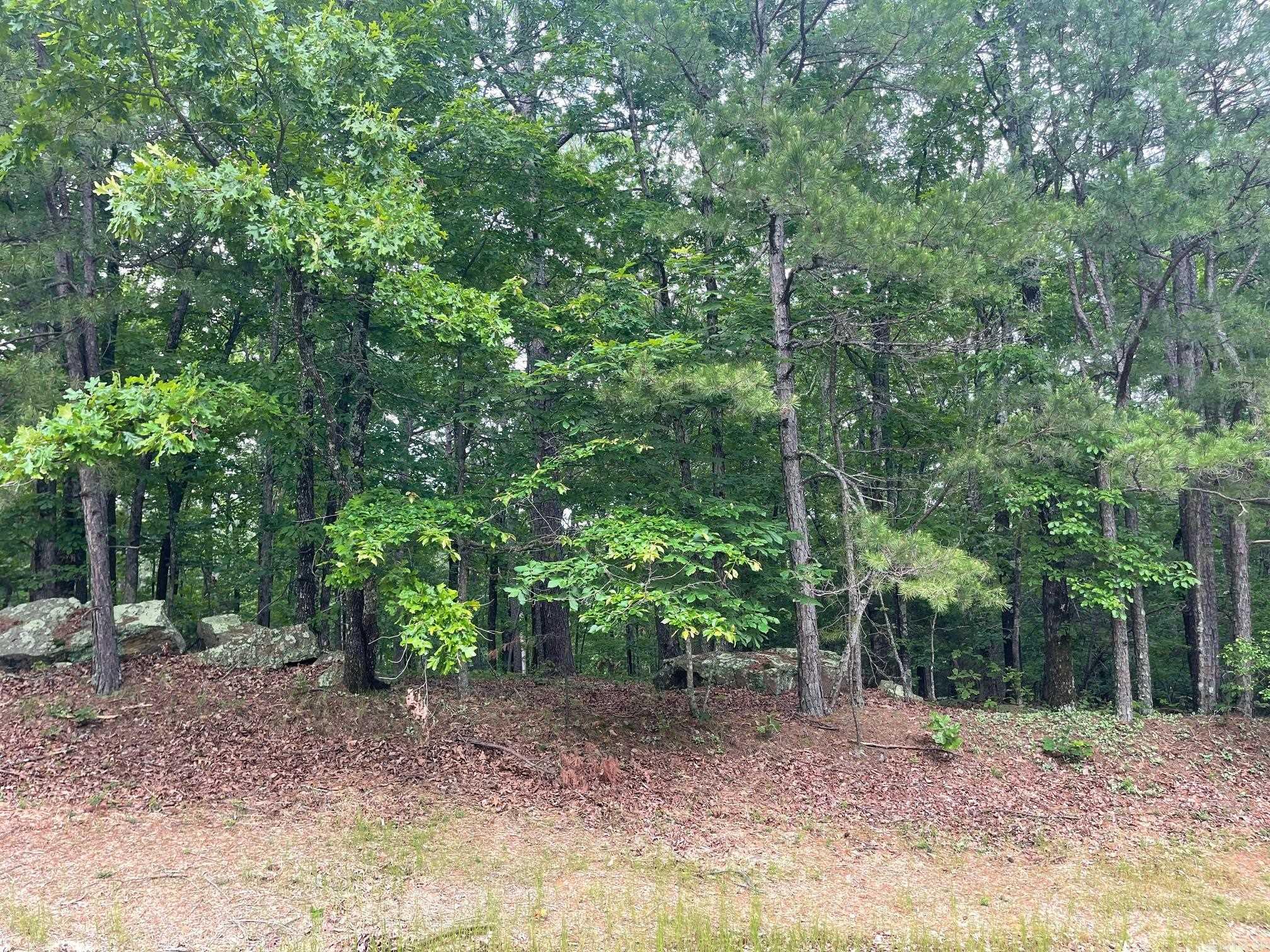 Indian Hills - Land