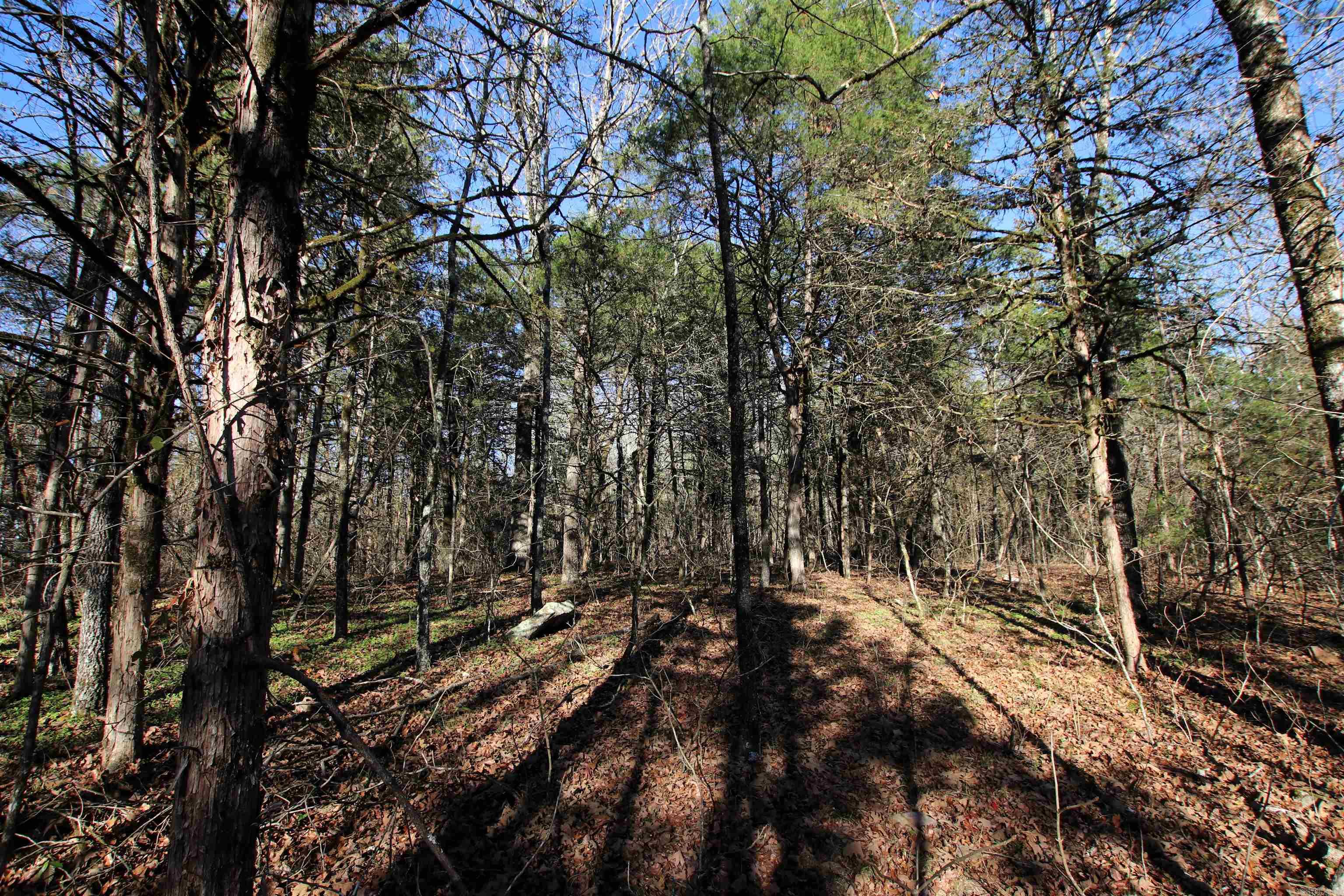 Not in Subdivision - Land