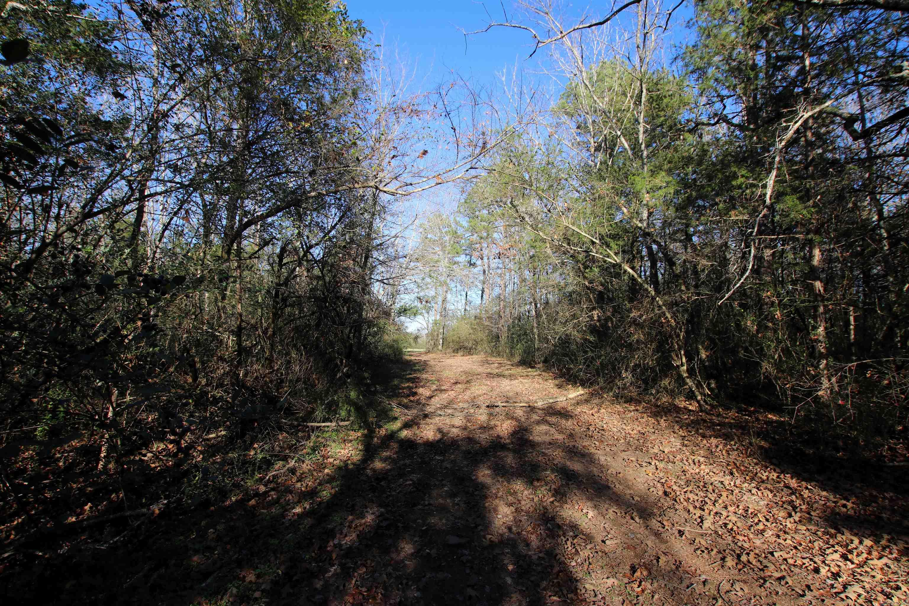 Not in Subdivision - Land