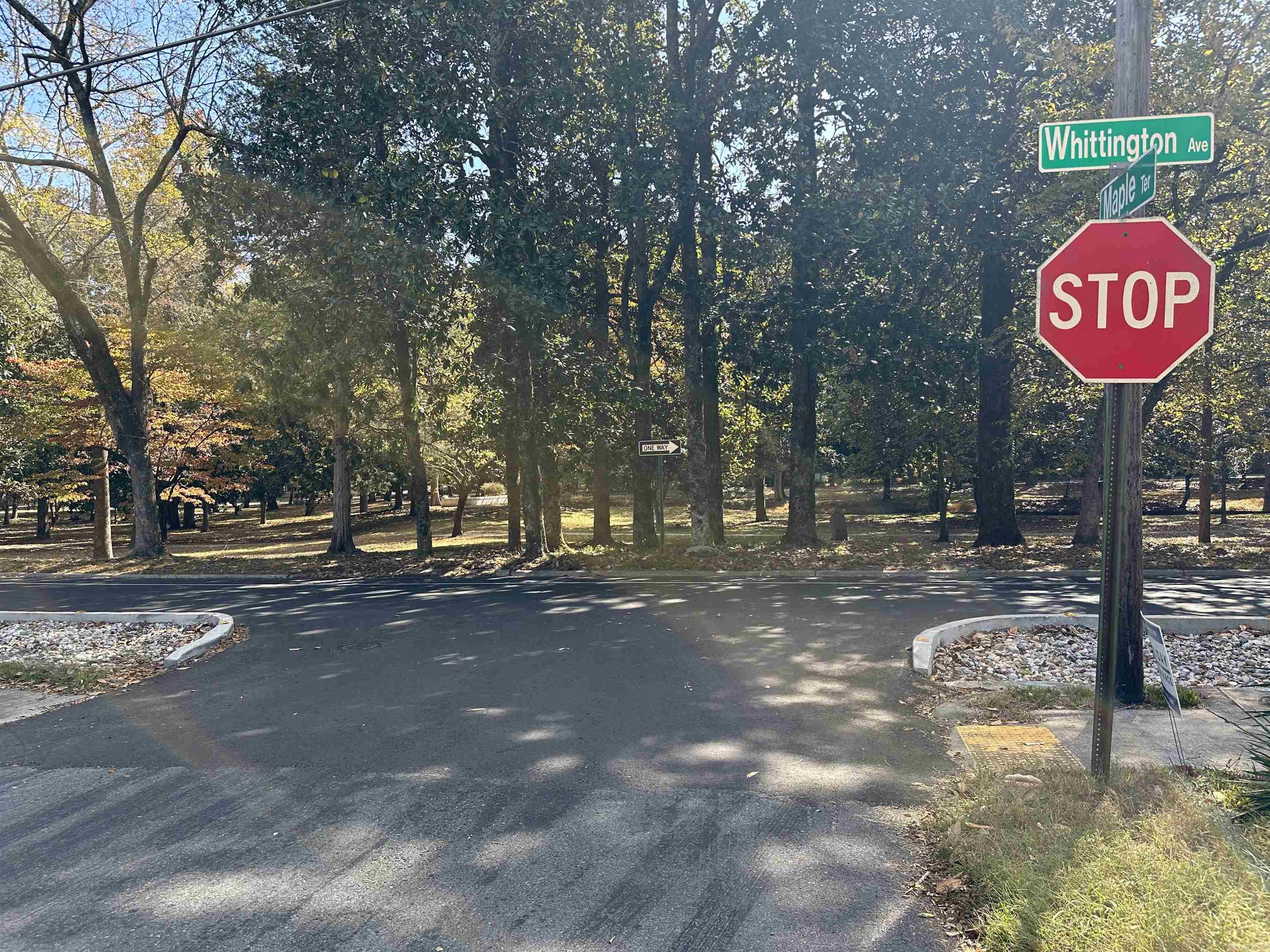 Moore & Summer - Land