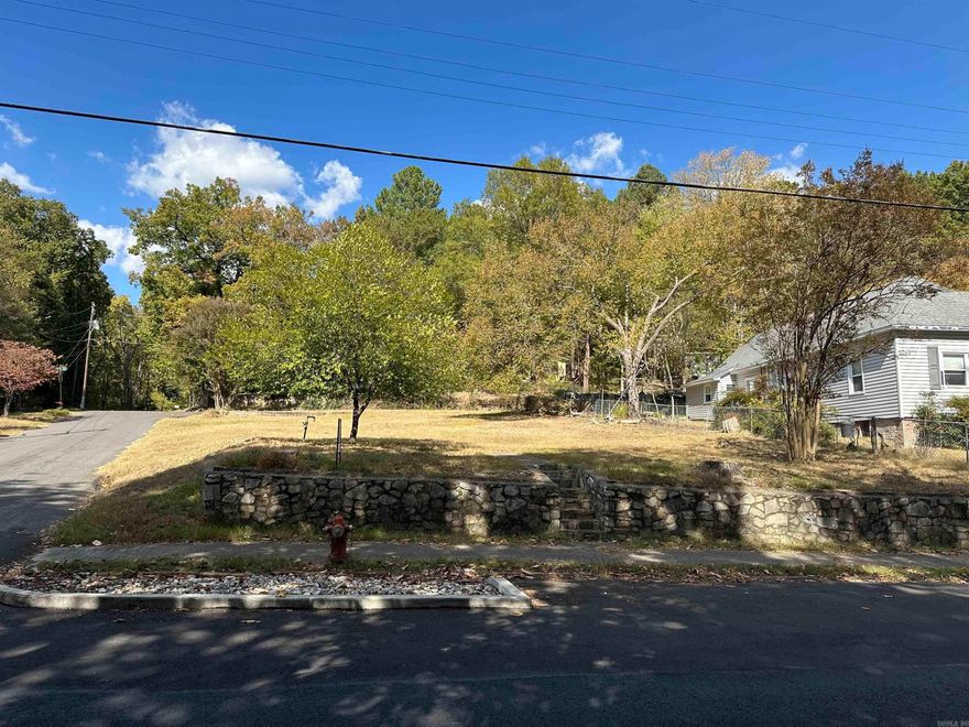 Quality level lot on the corner and across from Whittington Park!! Ideal for a single family home or to hold as an investment. Residential area with some businesses. Walk to downtown or uptown from here. Close to the Math and Science School. Former home site has gas line visible and power pole, sewer and water at the street.