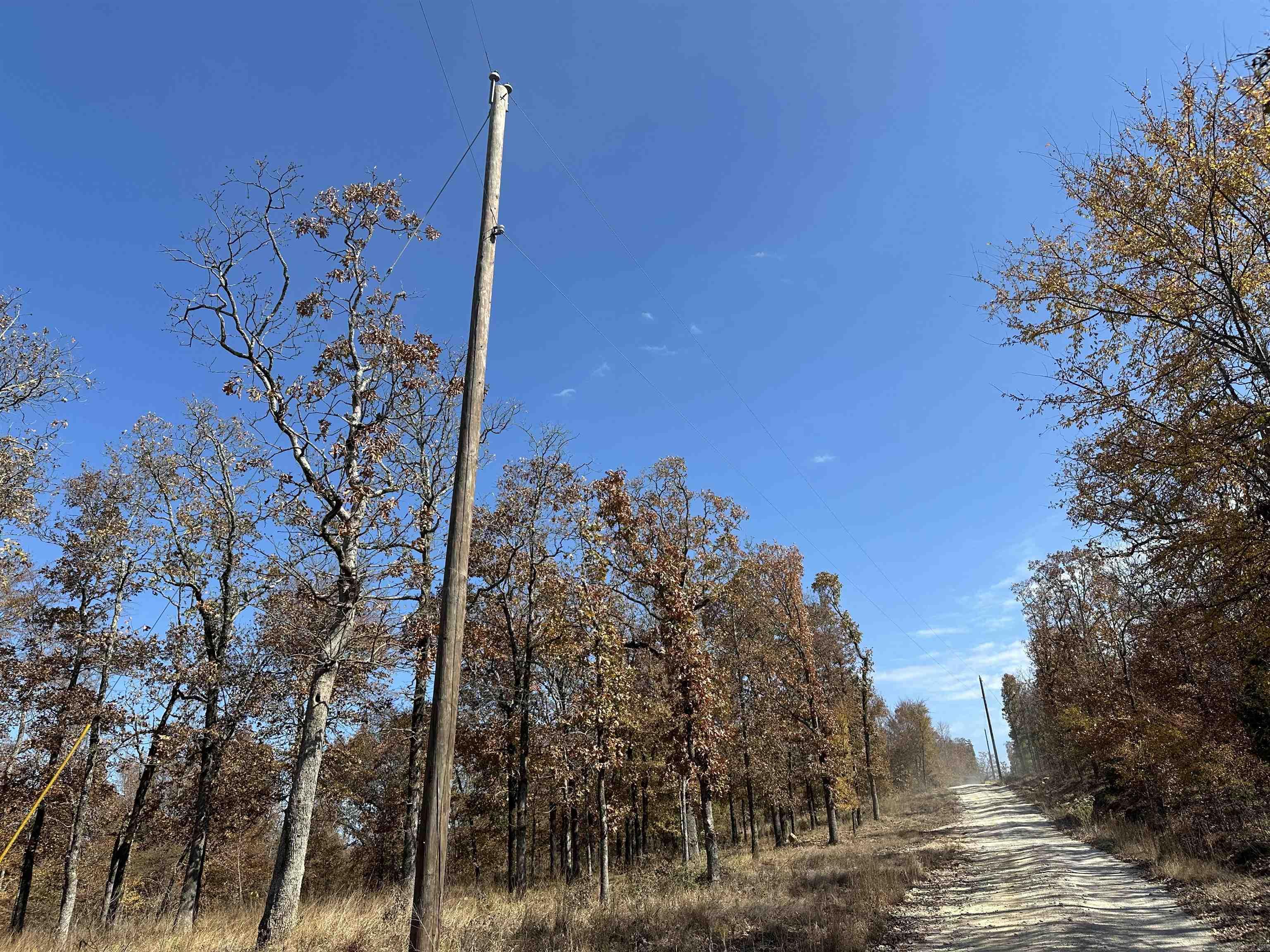 Moore & Summer - Land